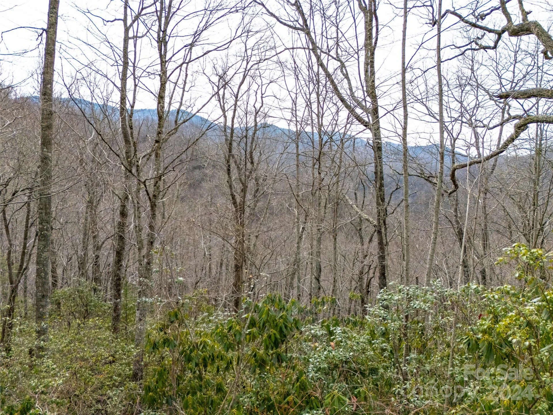 Lot 111 Cranberry Creek Road - Photo 9