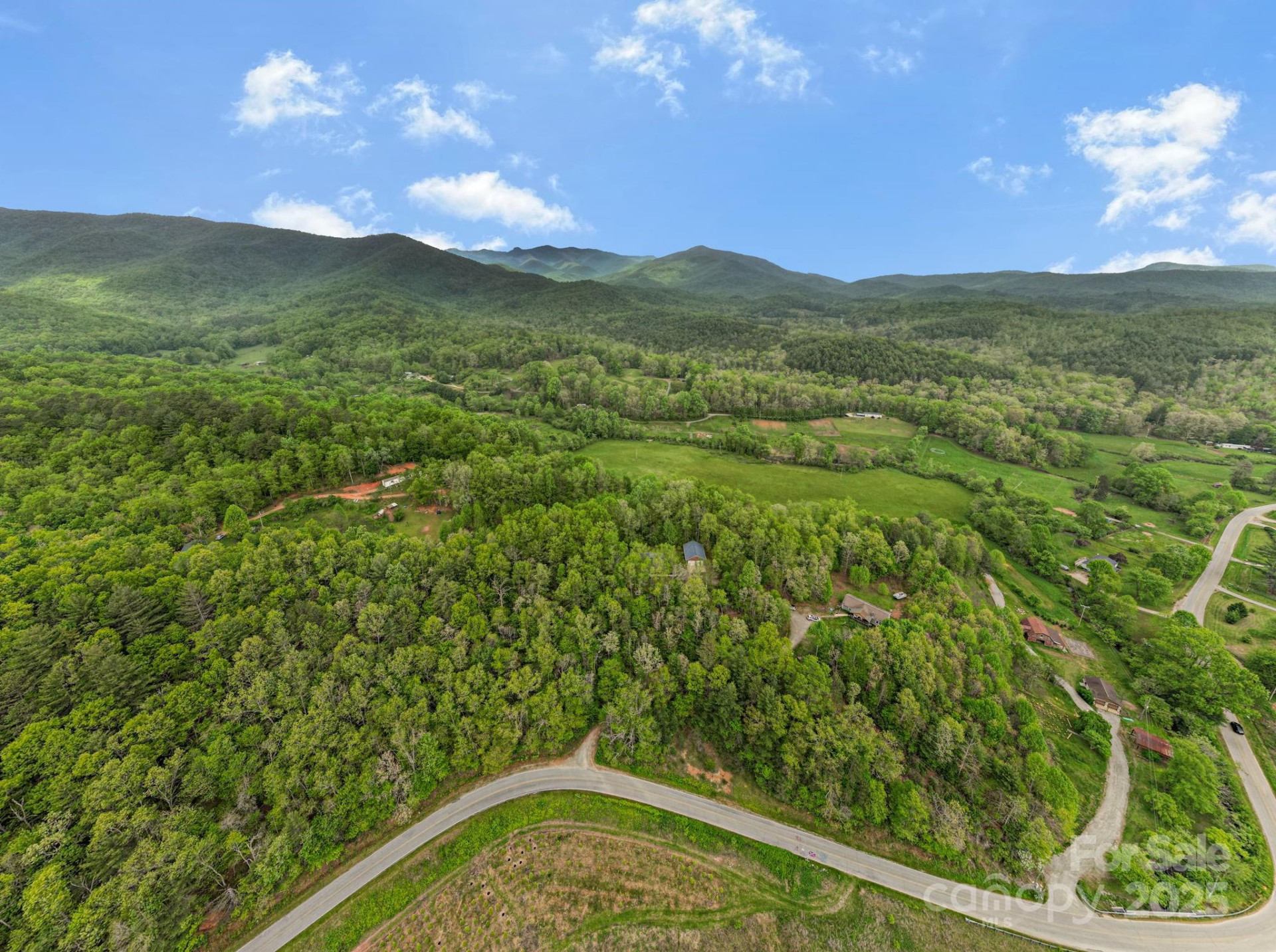 2 Harlow and Cricket Drive - Photo 5