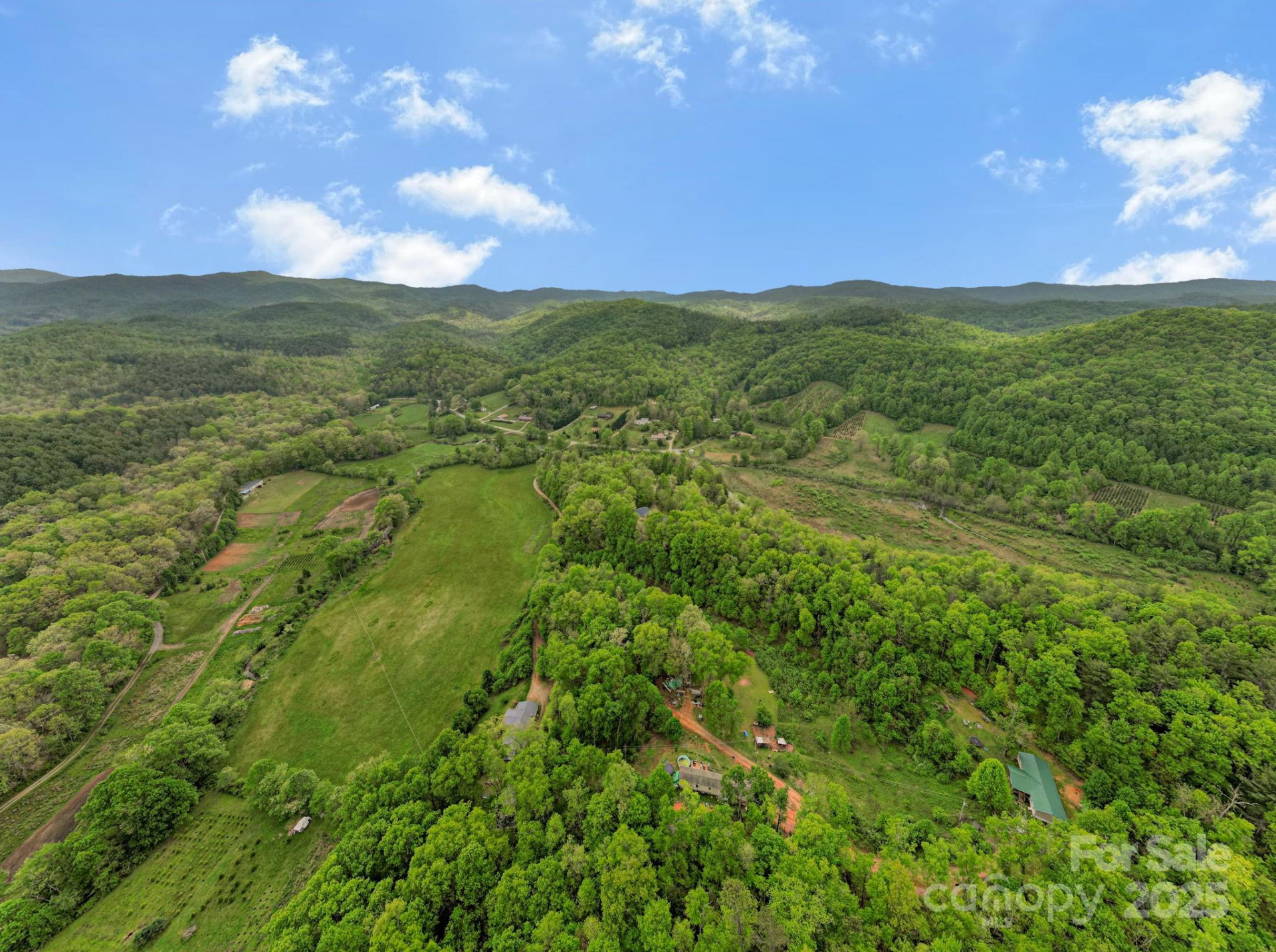 2 Harlow and Cricket Drive - Photo 6