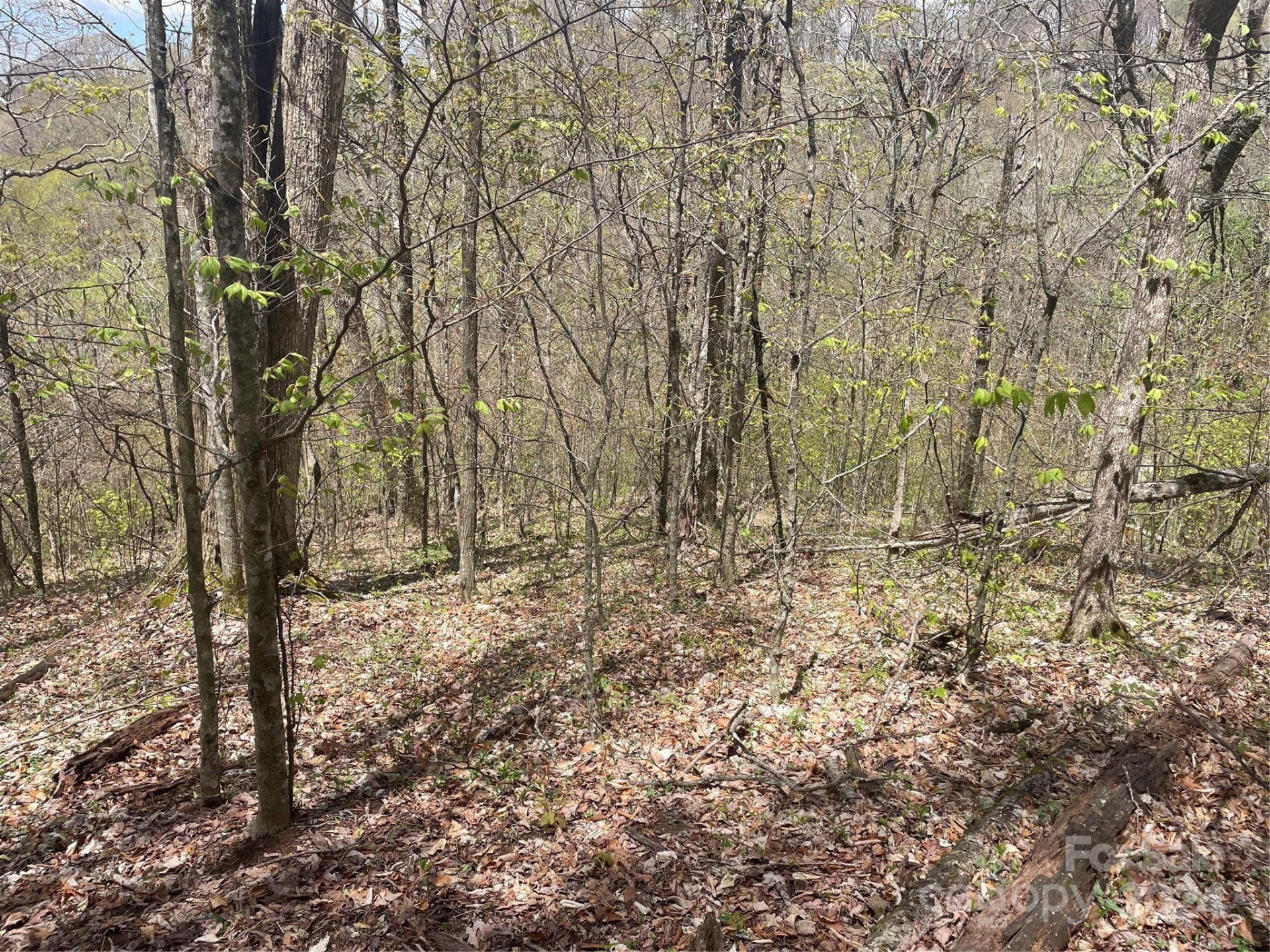 000 El Miner Drive #515 - Photo 11