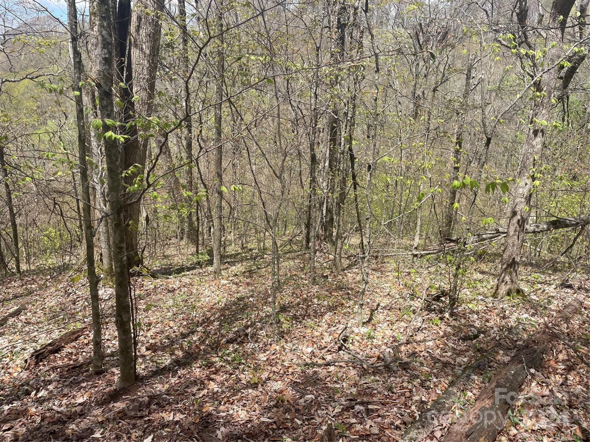 000 El Miner Drive #515 - Photo 11