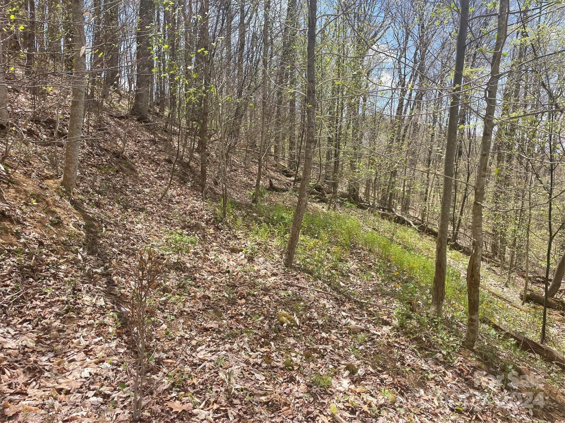 000 El Miner Drive #515 - Photo 13