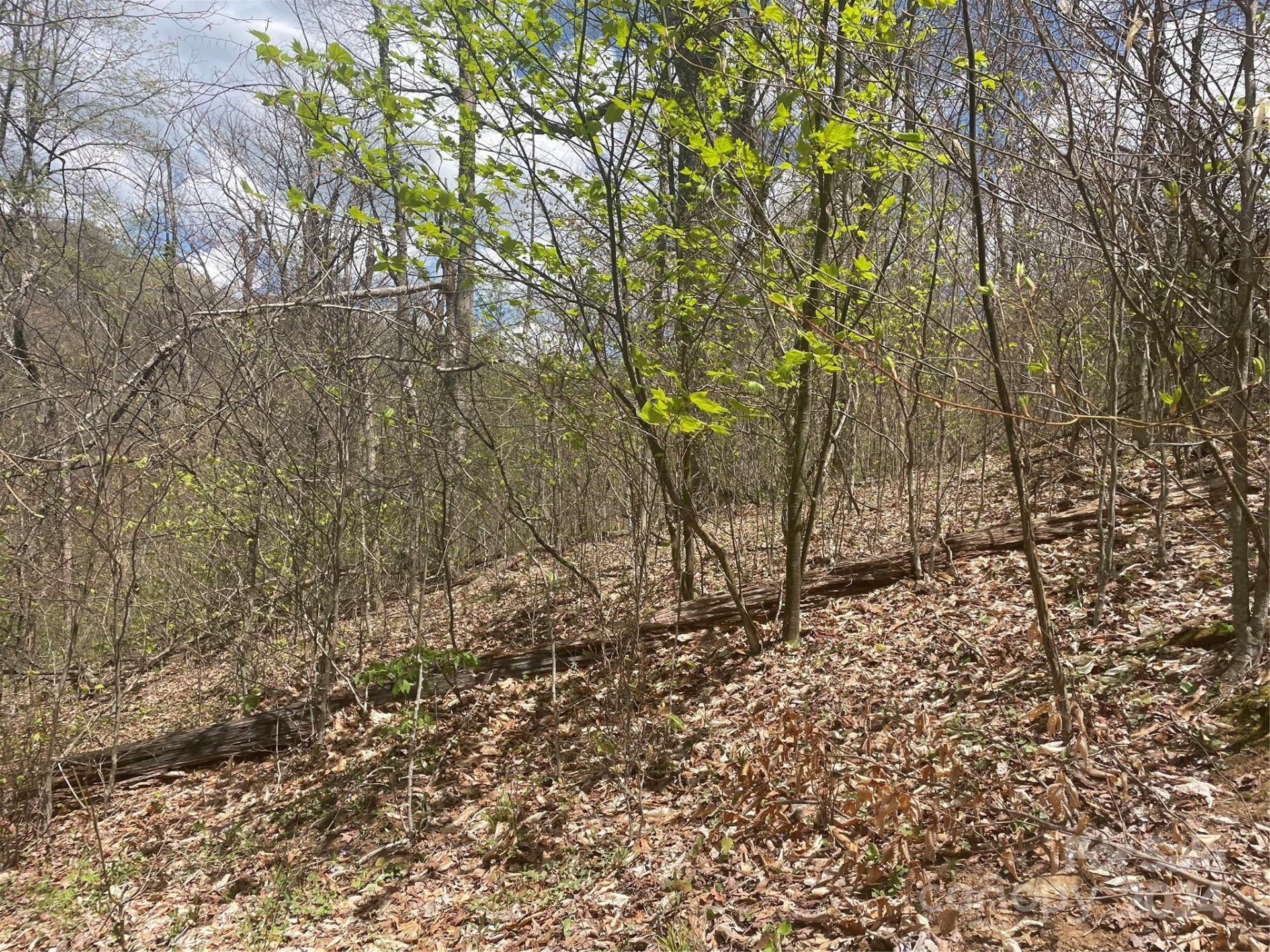 000 El Miner Drive #515 - Photo 7