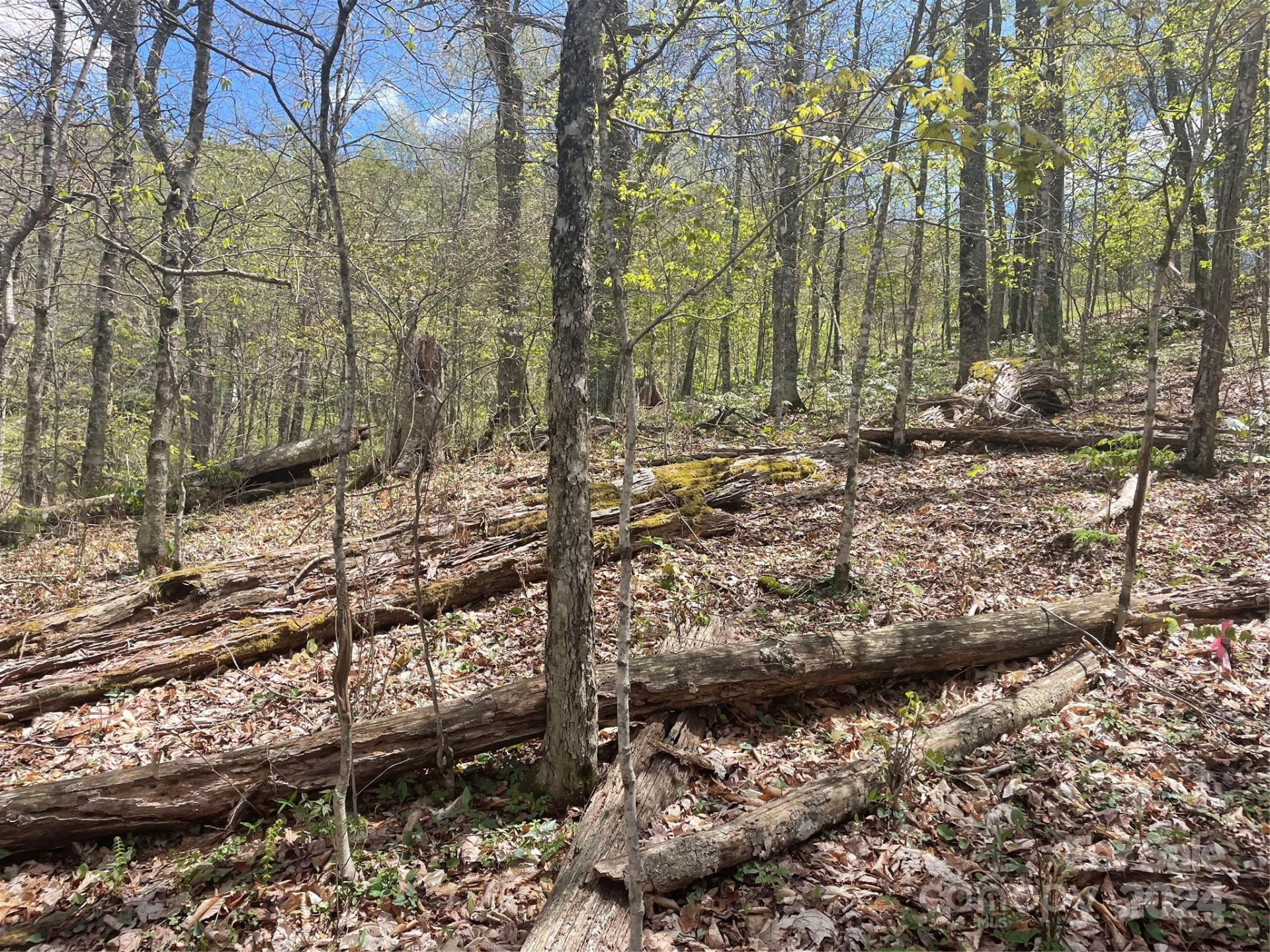 000 El Miner Drive #515 - Photo 8