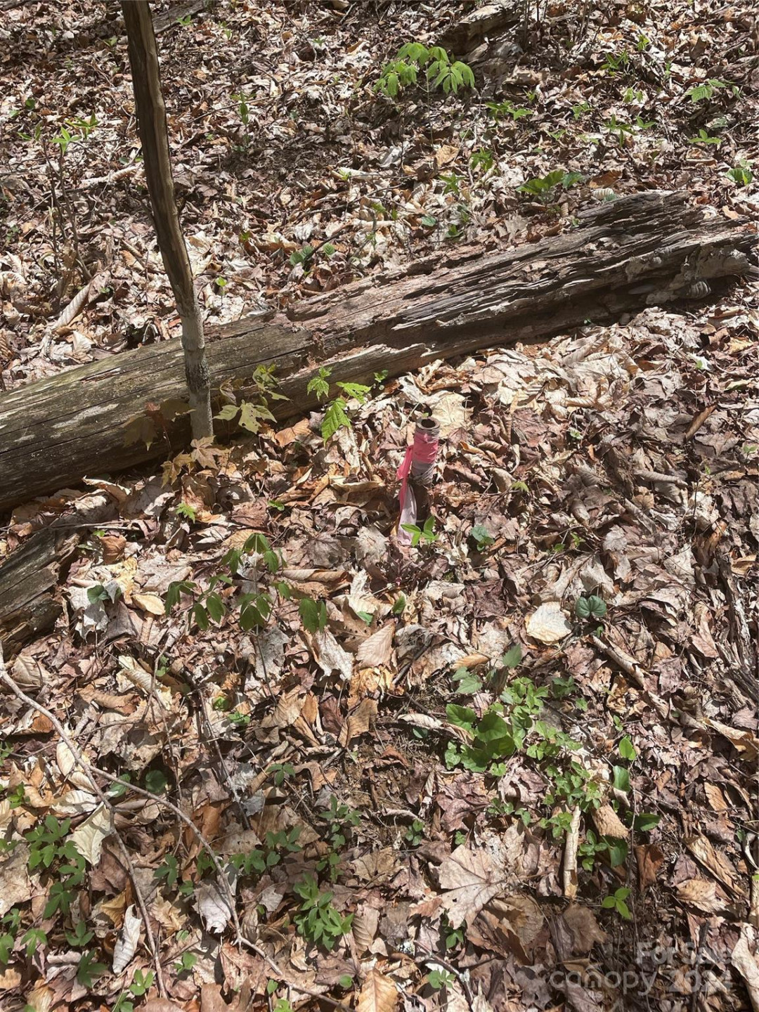 000 El Miner Drive #516 - Photo 13