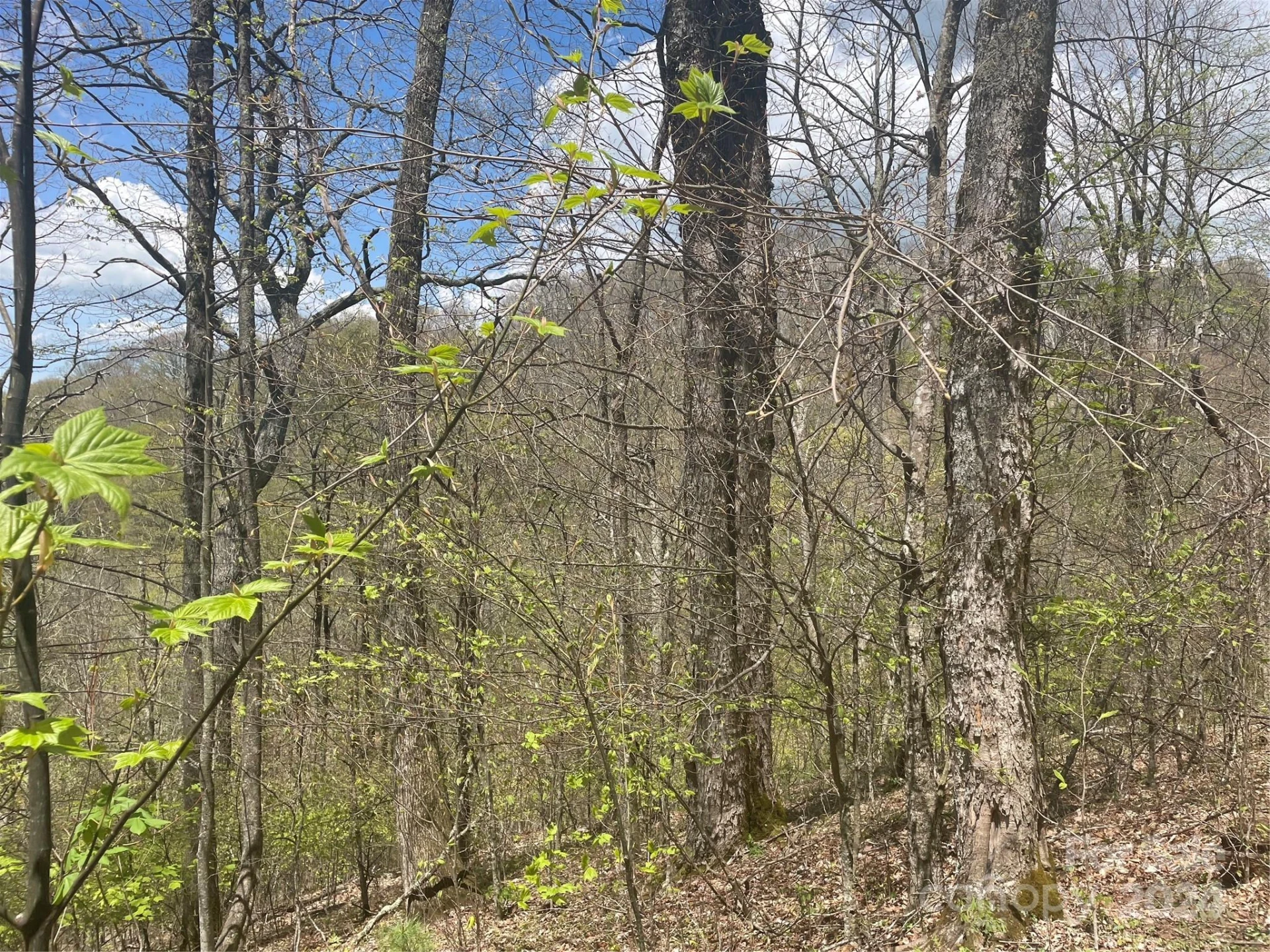 000 El Miner Drive #516 - Photo 4
