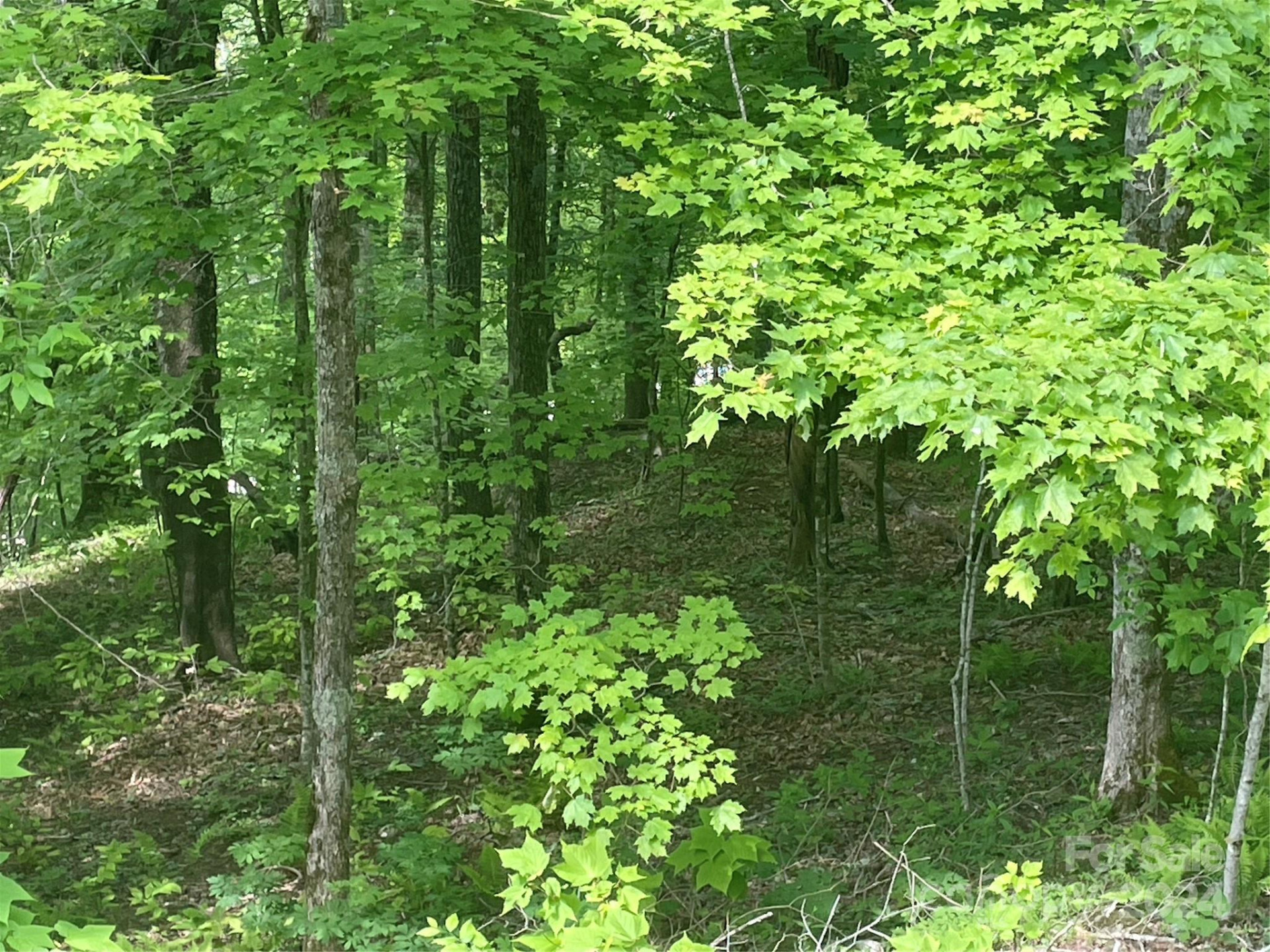 000 El Miner Drive #577 - Photo 4