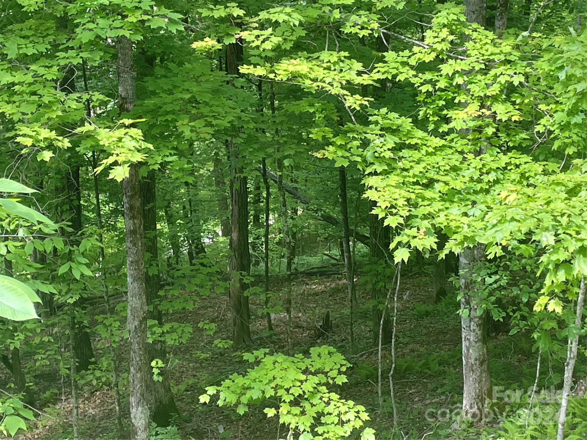 000 El Miner Drive #577 - Photo 5