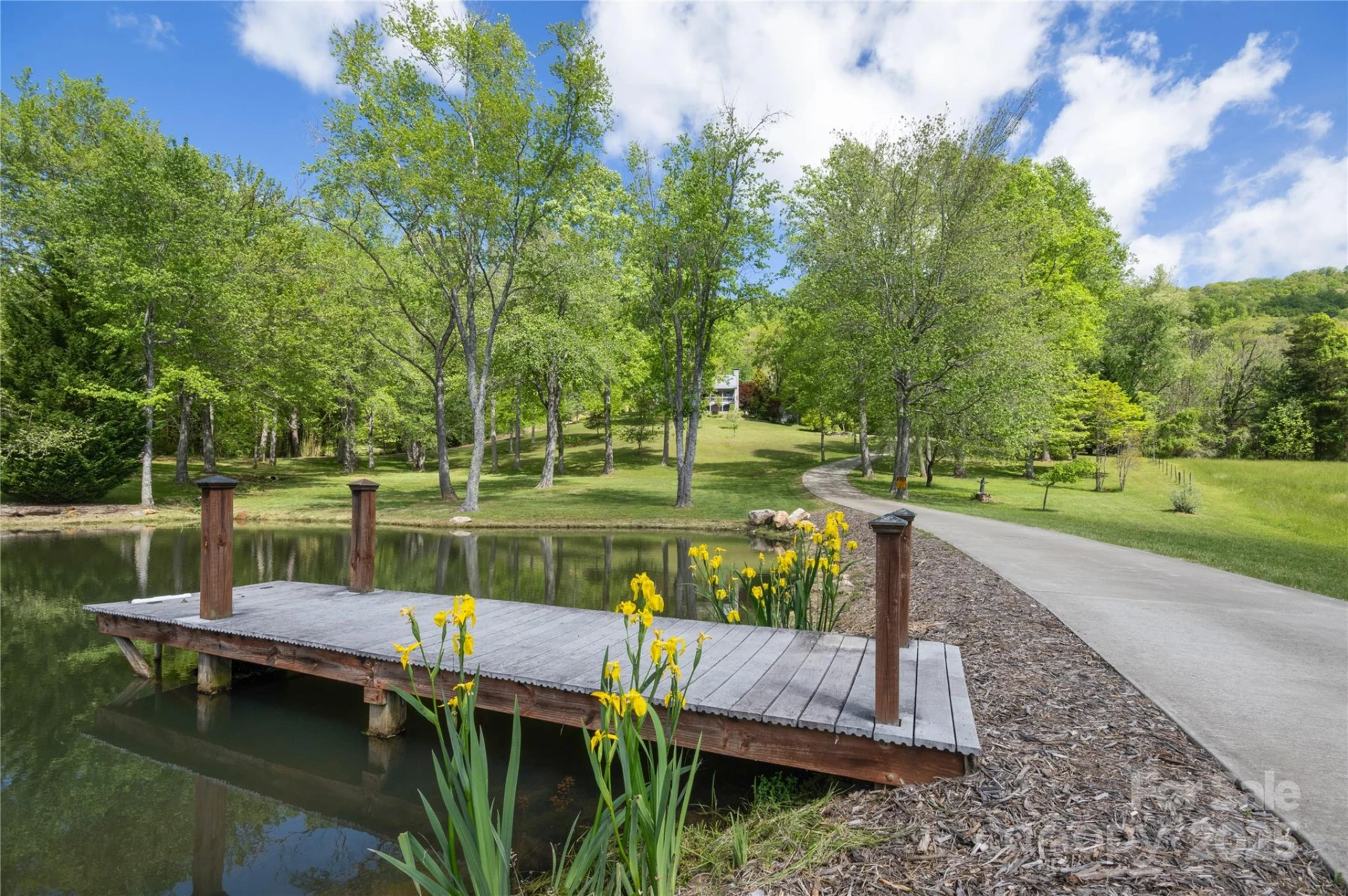 116 Sams Branch Road - Photo 5
