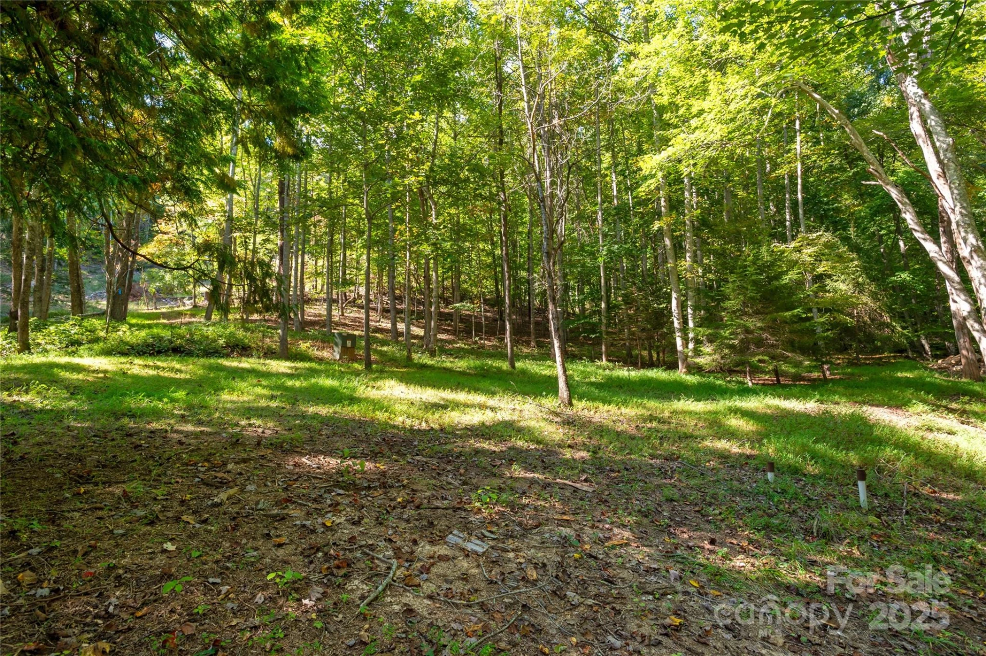 116 Sams Branch Road - Photo 41