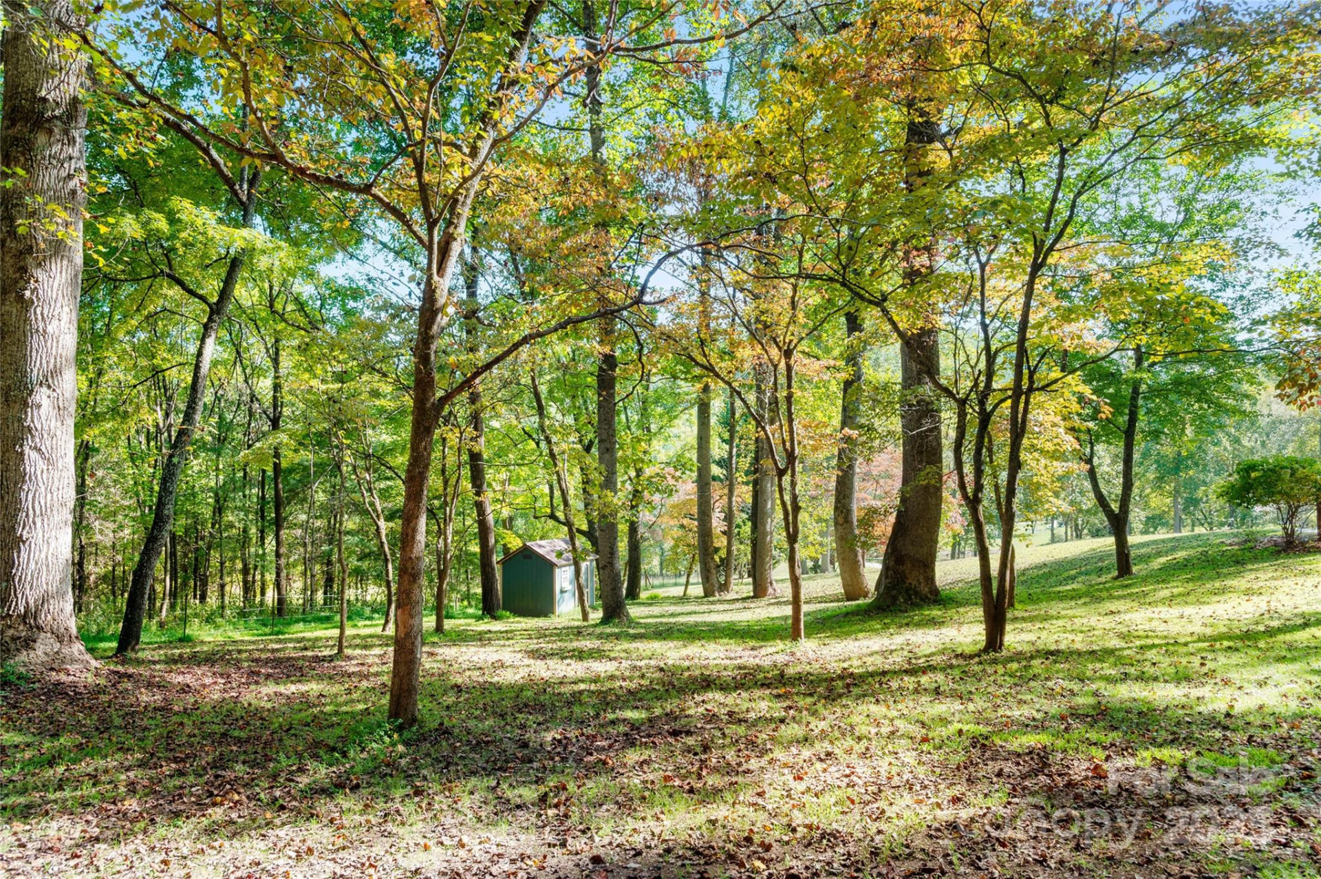 116 Sams Branch Road - Photo 46