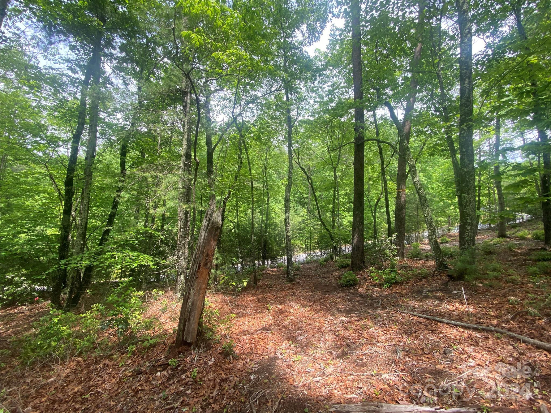 Lot 49 Bald Eagle Lane - Photo 11