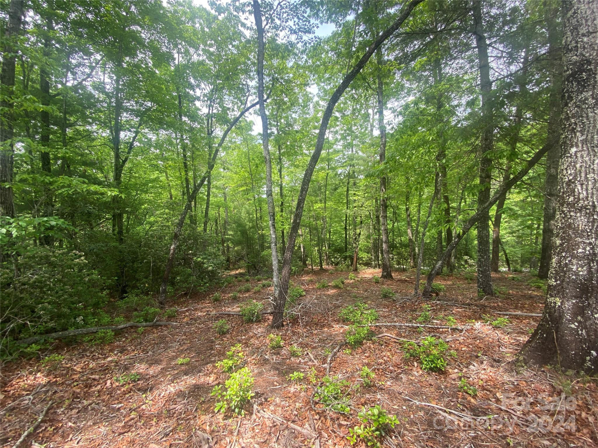 Lot 49 Bald Eagle Lane - Photo 12