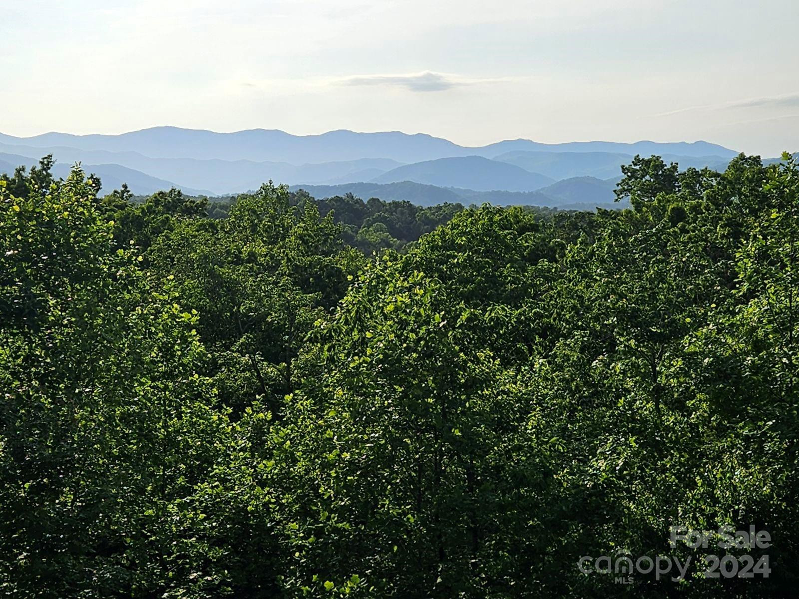 Lot 49 Bald Eagle Lane - Photo 14