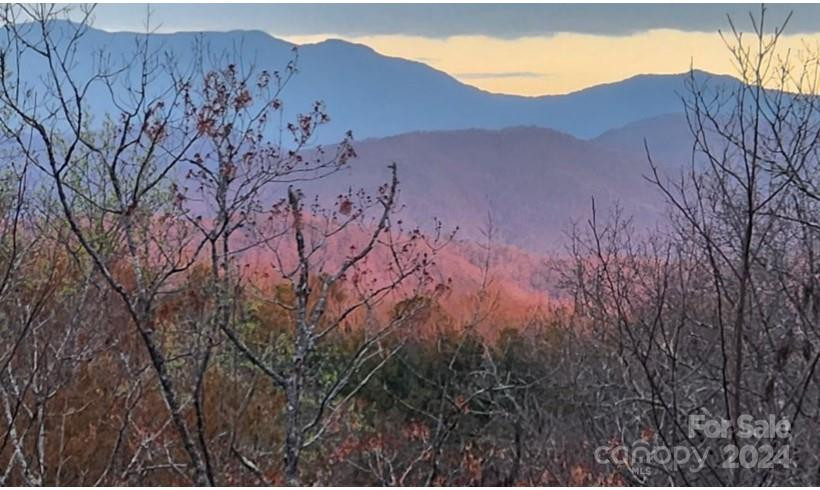 Lot 49 Bald Eagle Lane - Photo 15