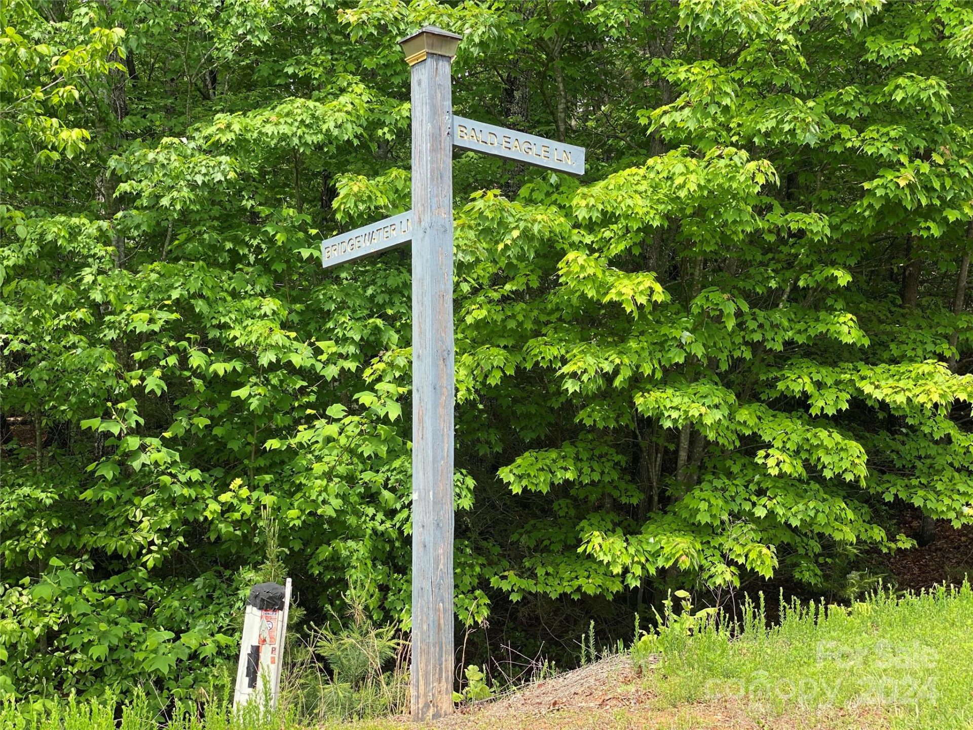 Lot 49 Bald Eagle Lane - Photo 3