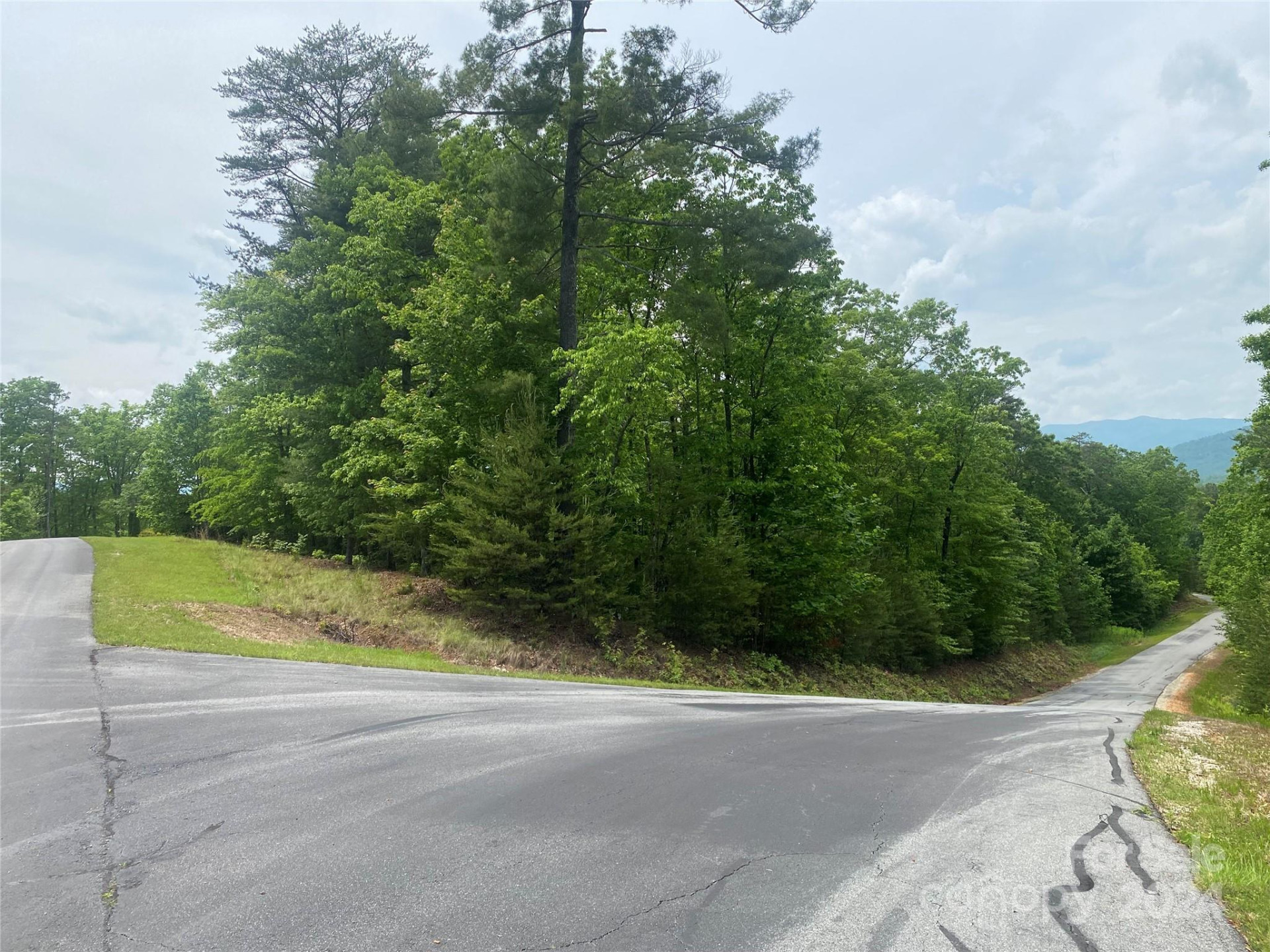 Lot 49 Bald Eagle Lane - Photo 4