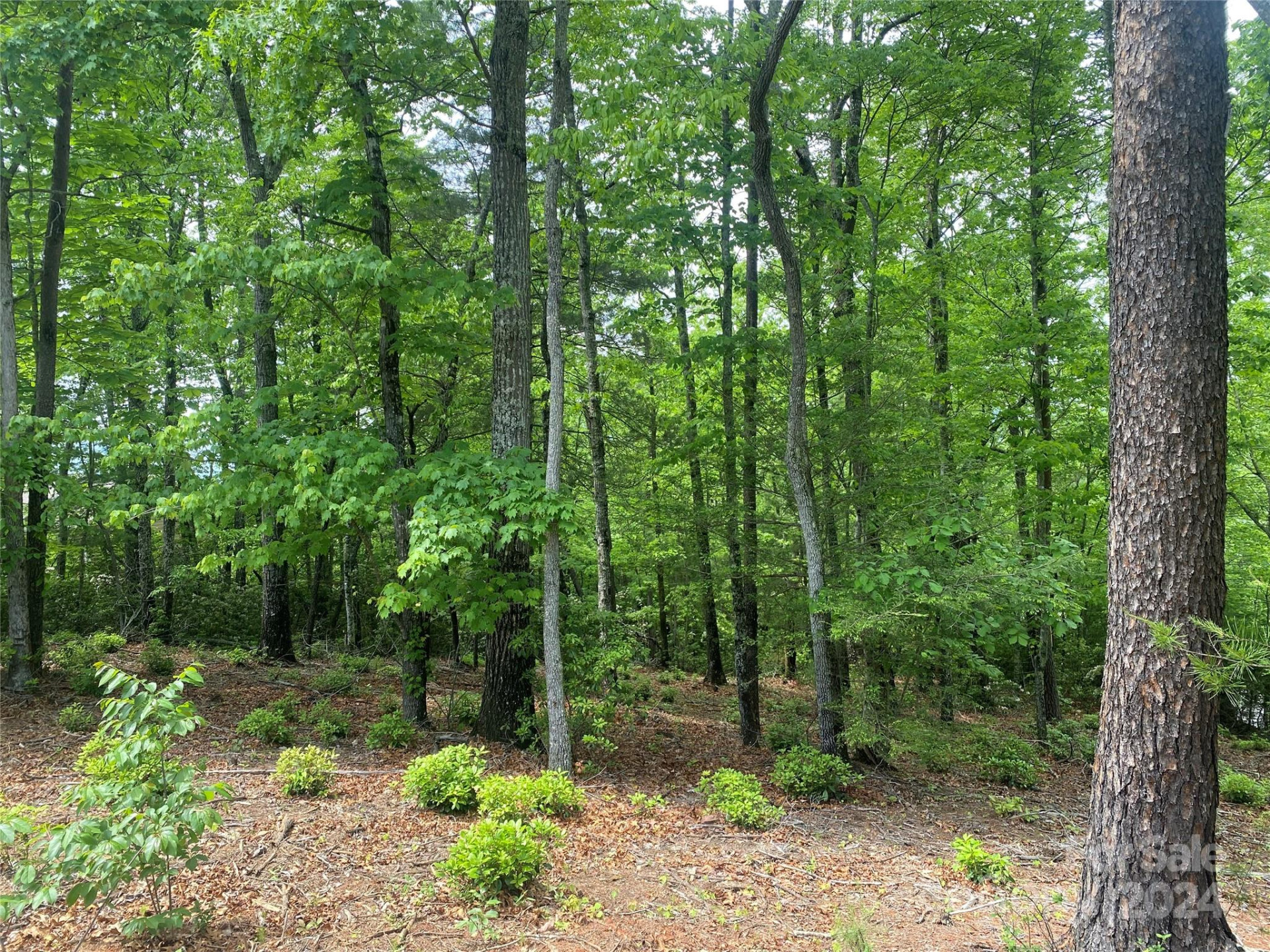 Lot 49 Bald Eagle Lane - Photo 6