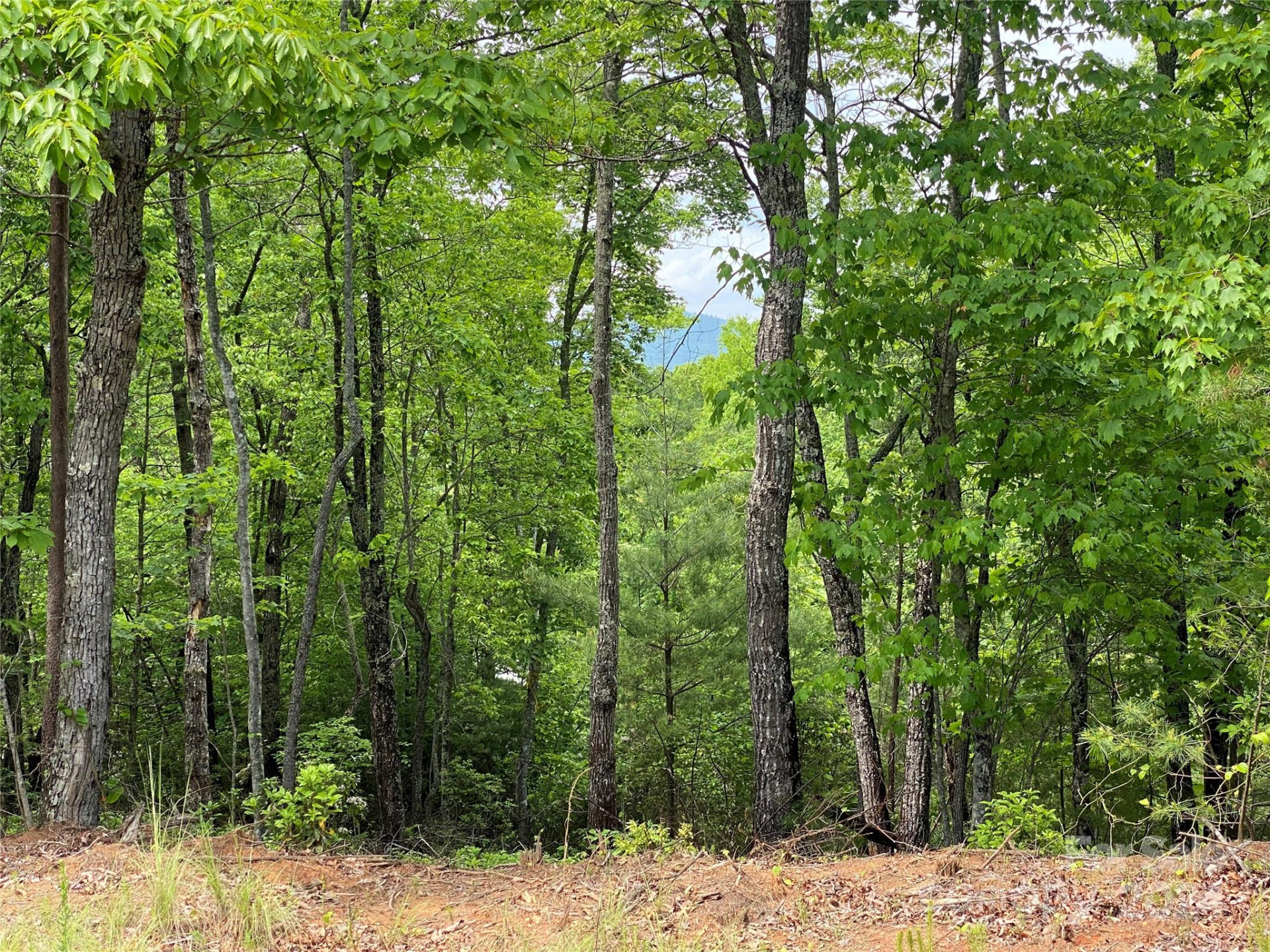 Lot 49 Bald Eagle Lane - Photo 7