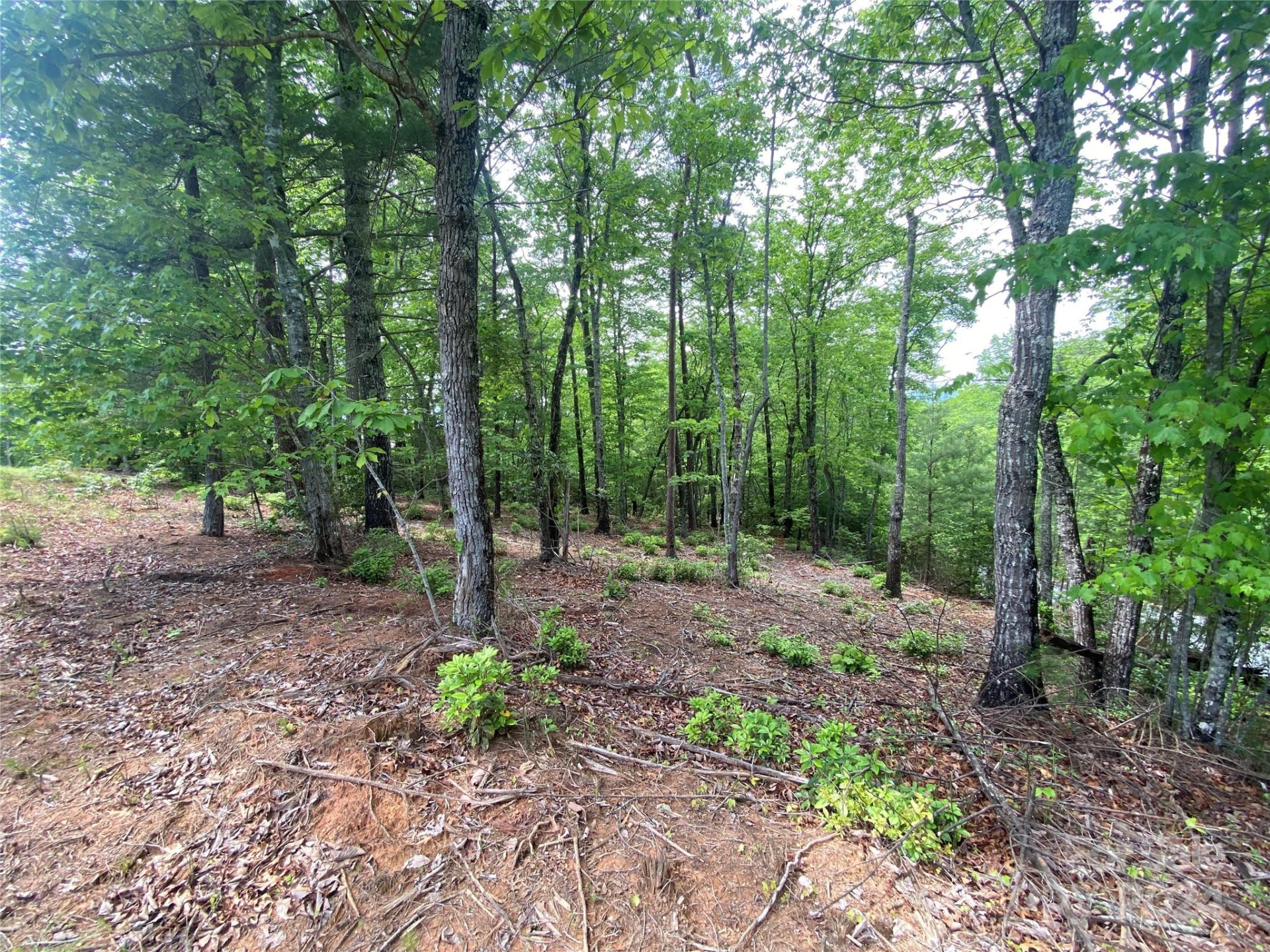 Lot 49 Bald Eagle Lane - Photo 8