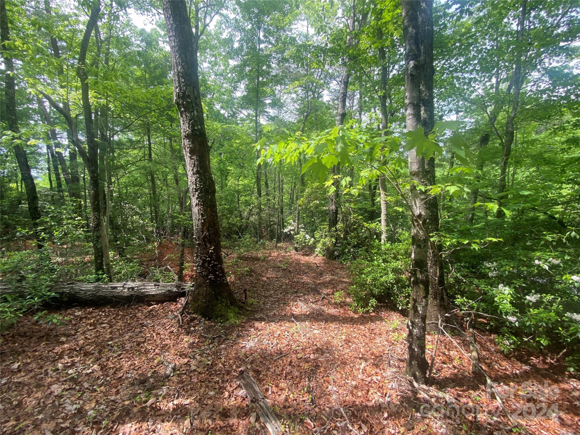 Lot 49 Bald Eagle Lane - Photo 10