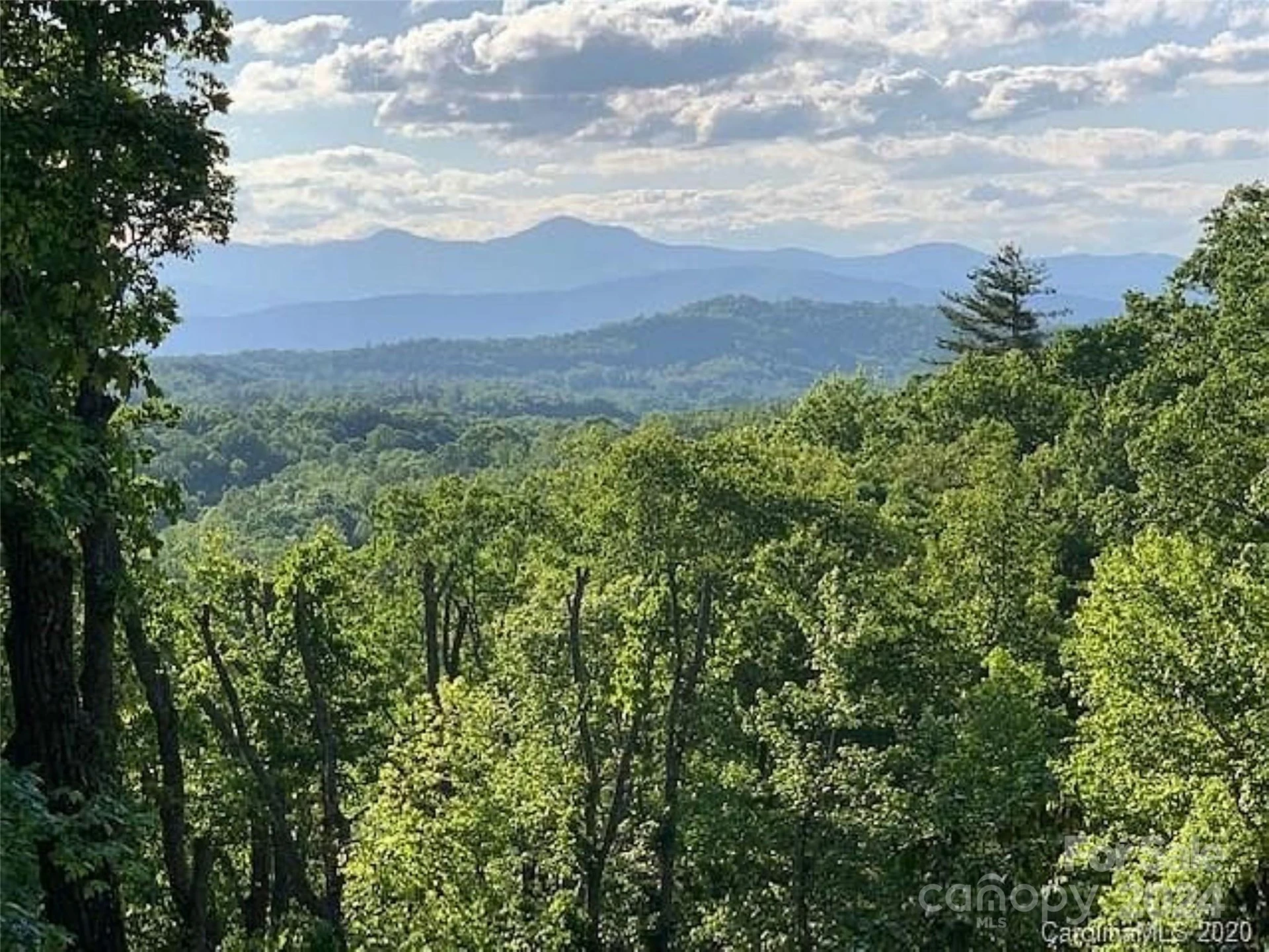 185 Crossvine Trail