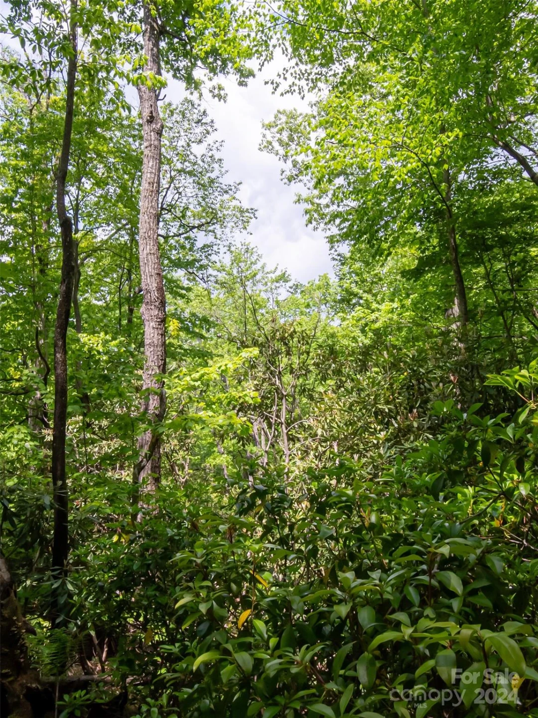 185 Crossvine Trail - Photo 16
