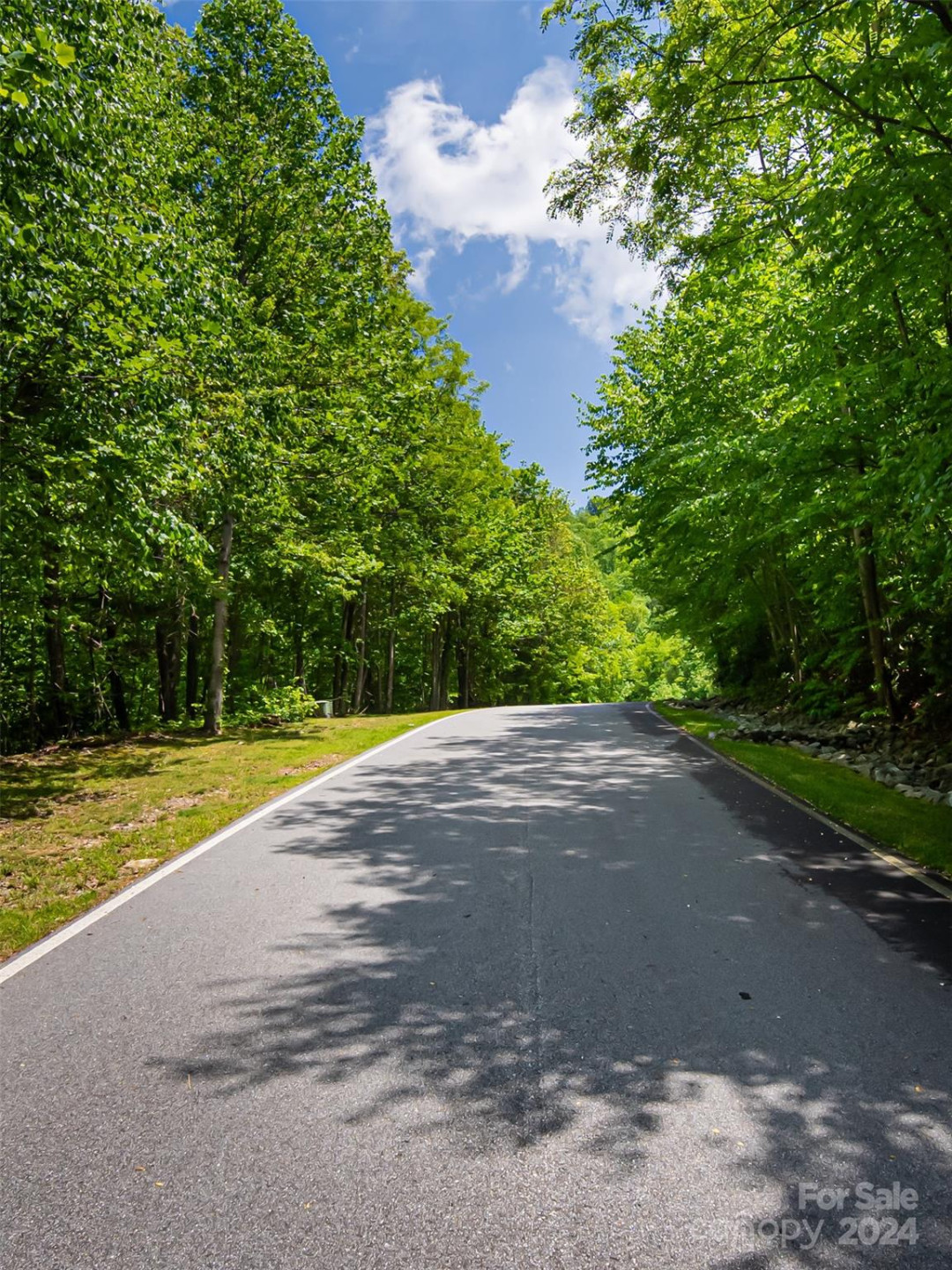 185 Crossvine Trail - Photo 17