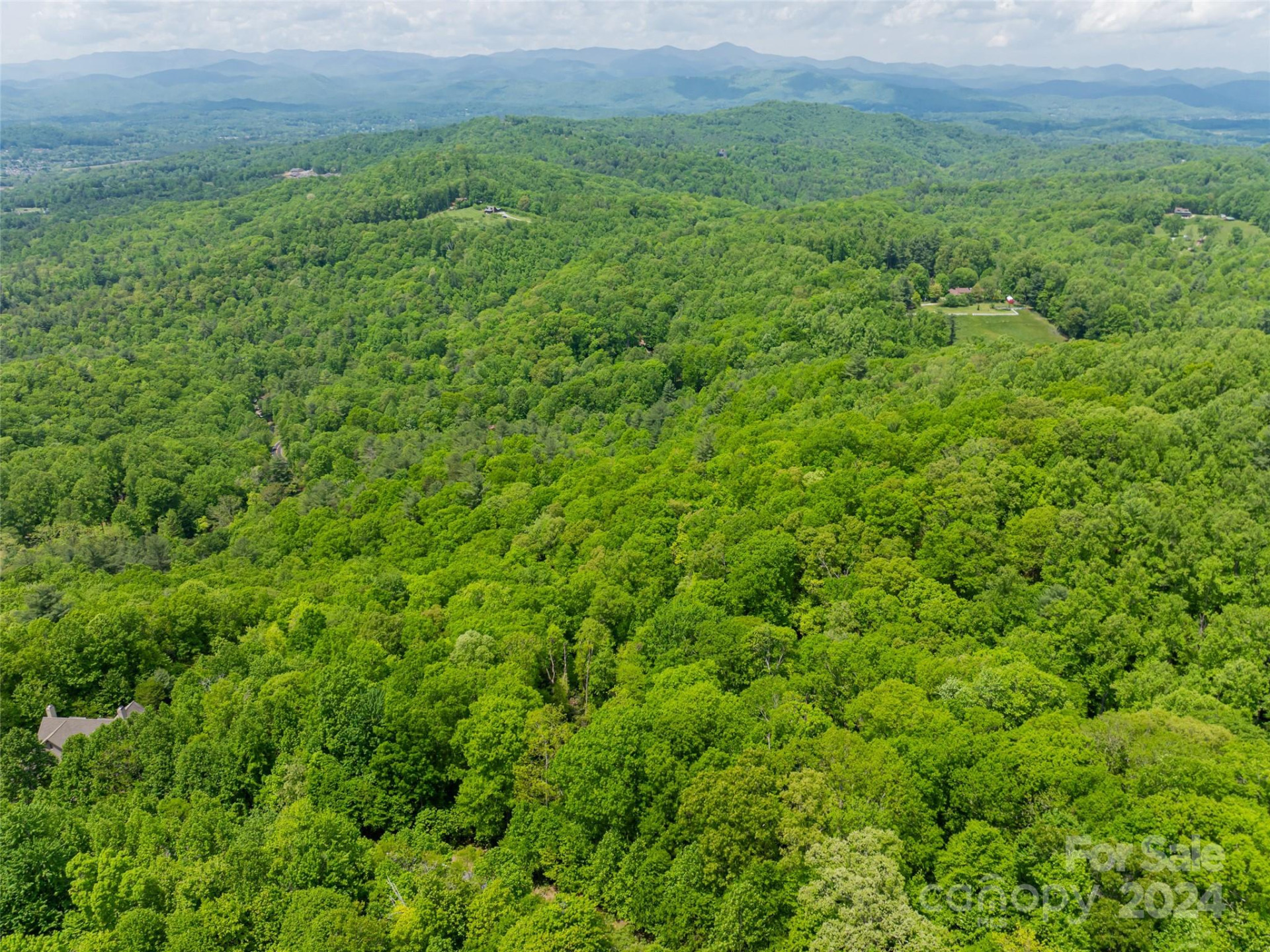 185 Crossvine Trail - Photo 18