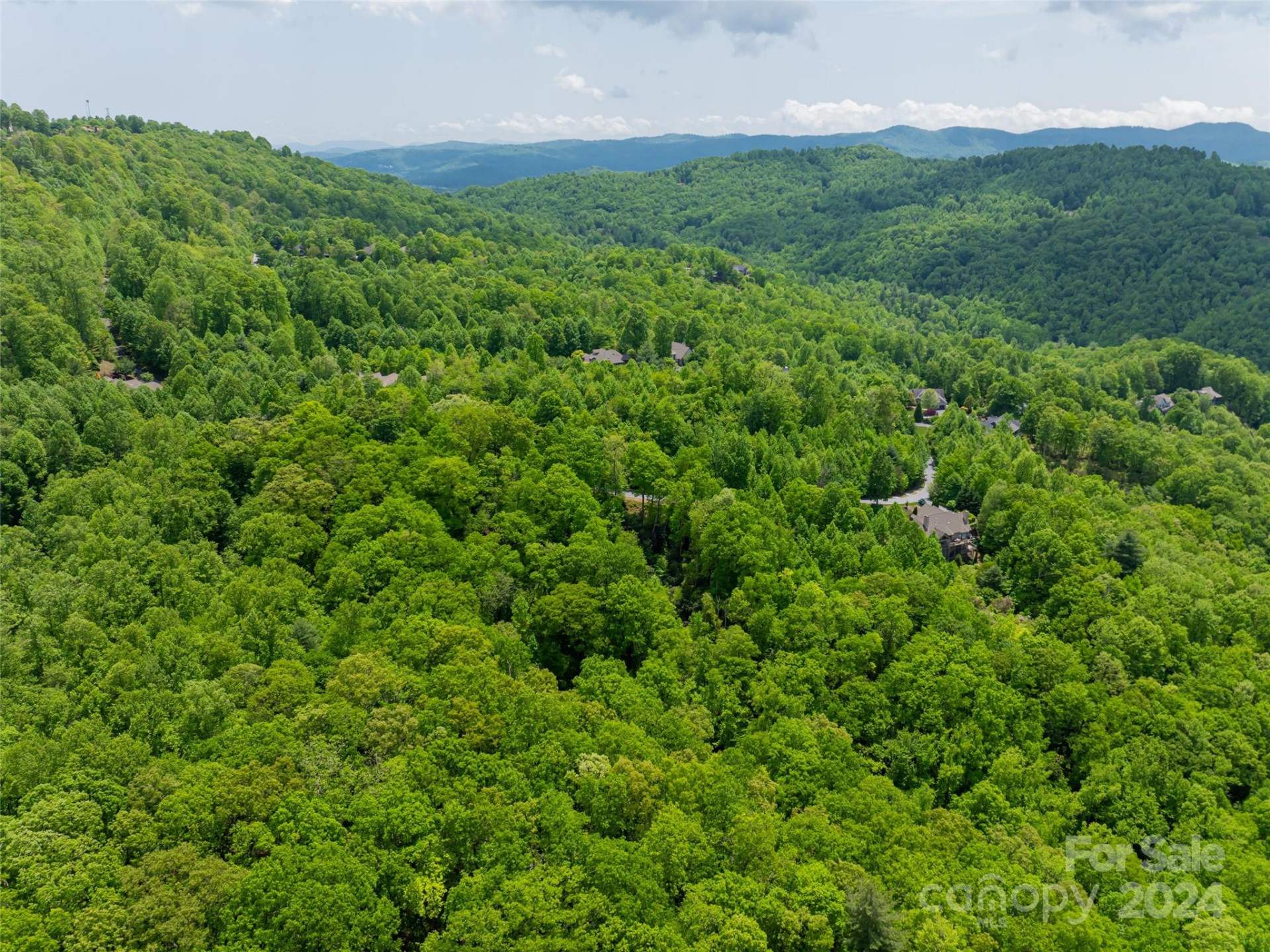 185 Crossvine Trail - Photo 21