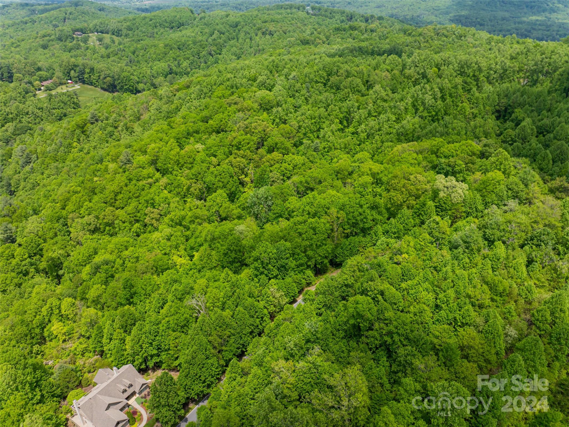 185 Crossvine Trail - Photo 25