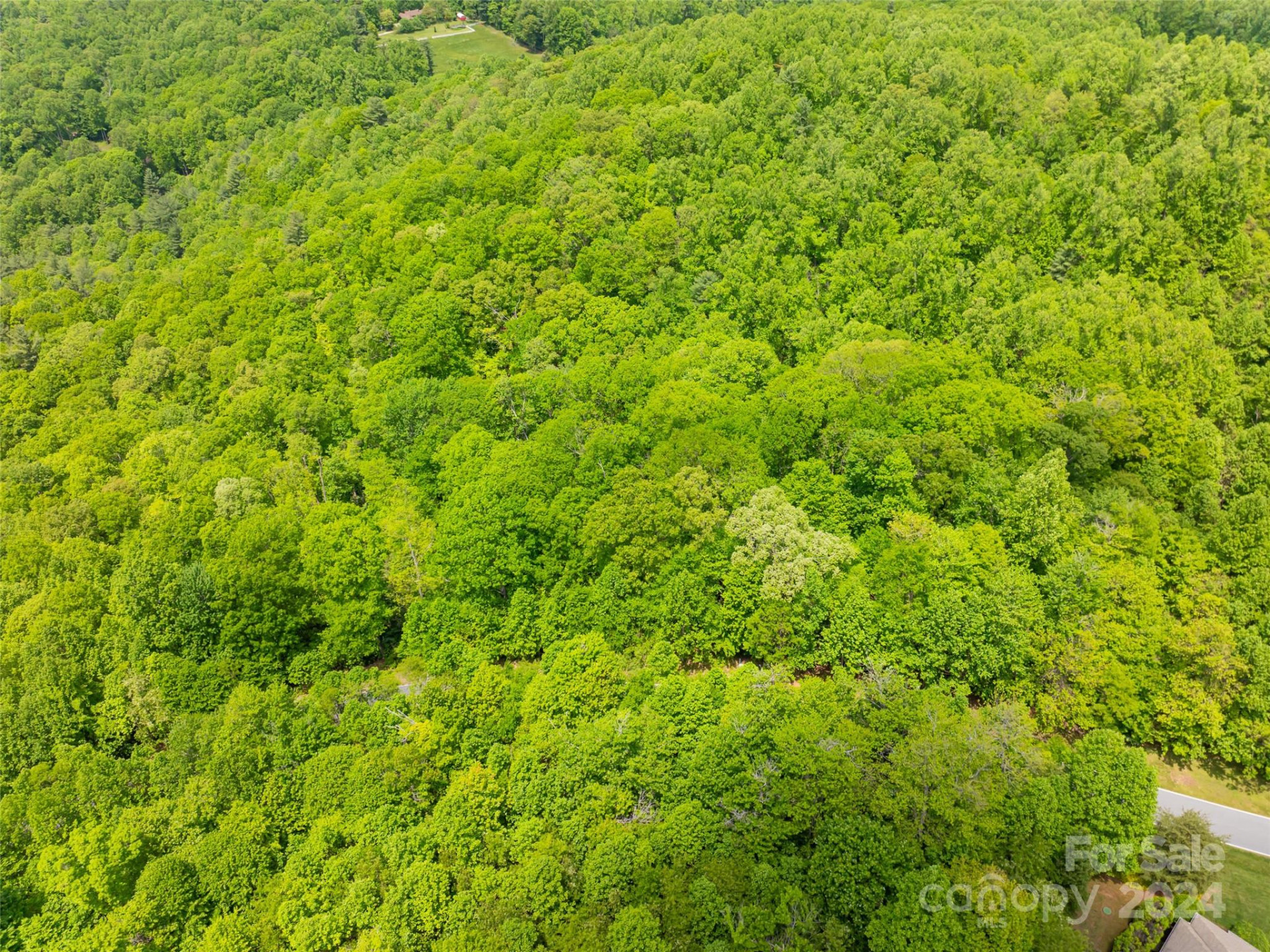 185 Crossvine Trail - Photo 26