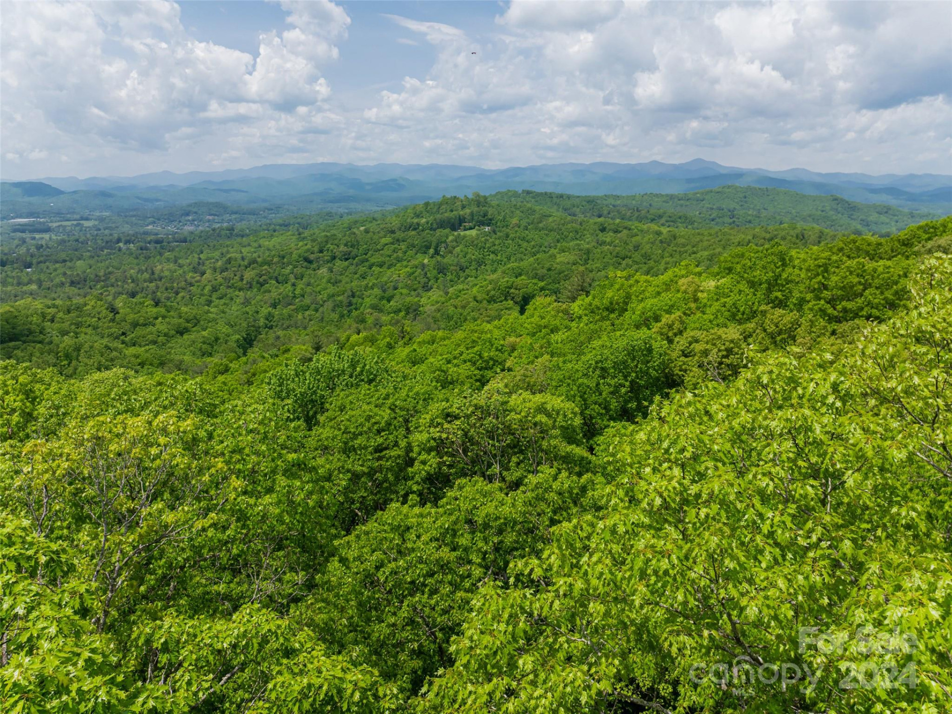 185 Crossvine Trail - Photo 28