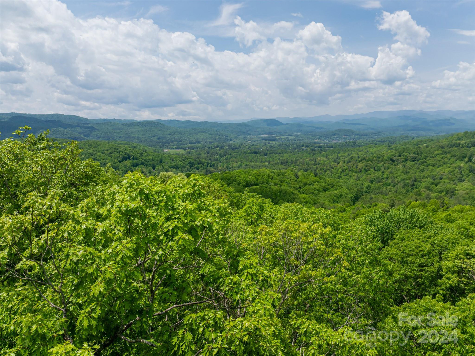 185 Crossvine Trail - Photo 29