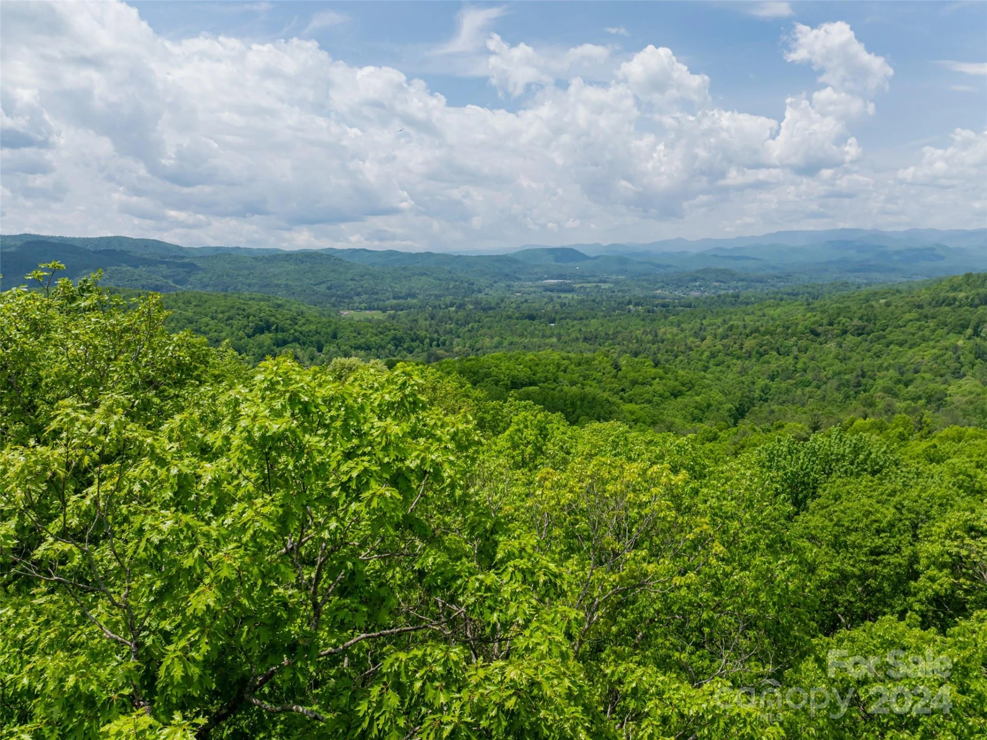 185 Crossvine Trail - Photo 29