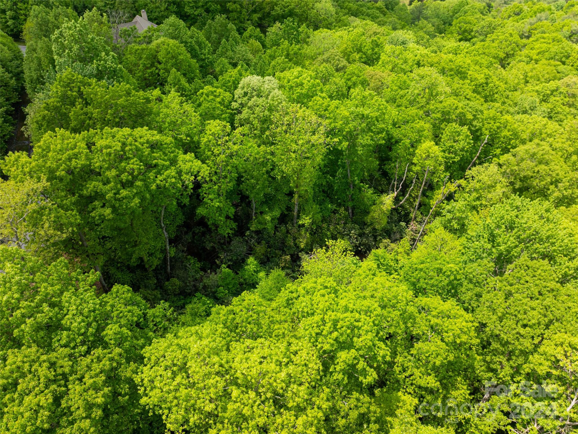 185 Crossvine Trail - Photo 30