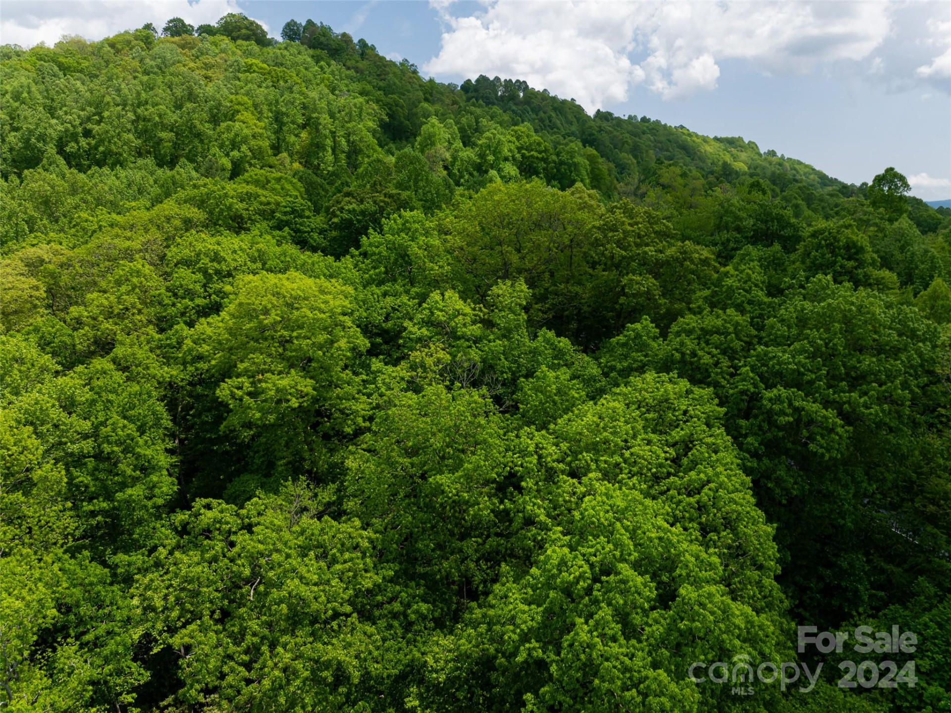 185 Crossvine Trail - Photo 31