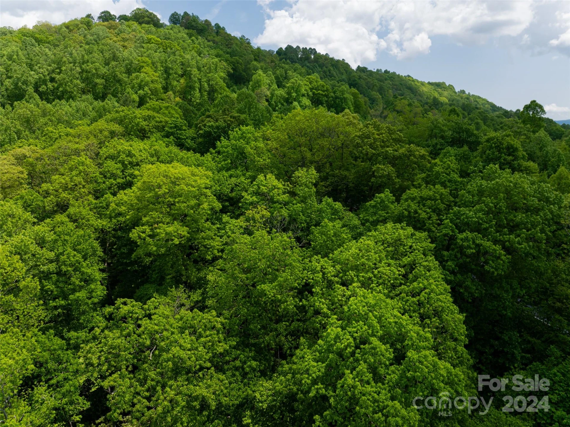 185 Crossvine Trail - Photo 31