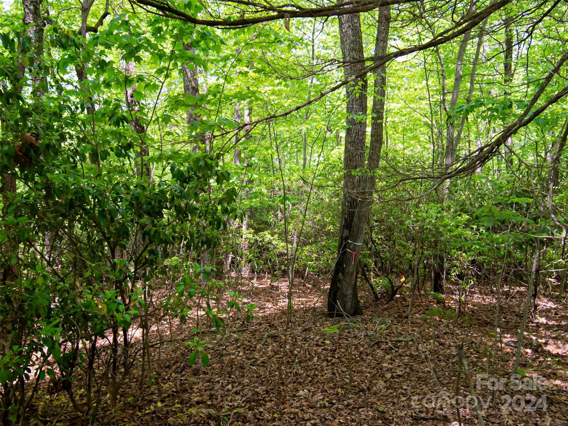 185 Crossvine Trail - Photo 6