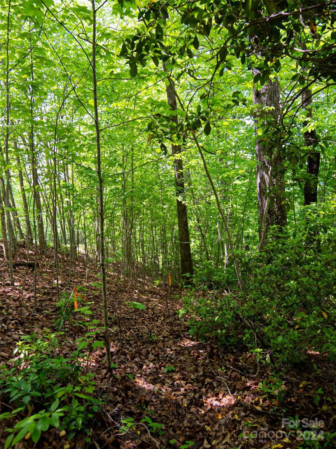 185 Crossvine Trail - Photo 9