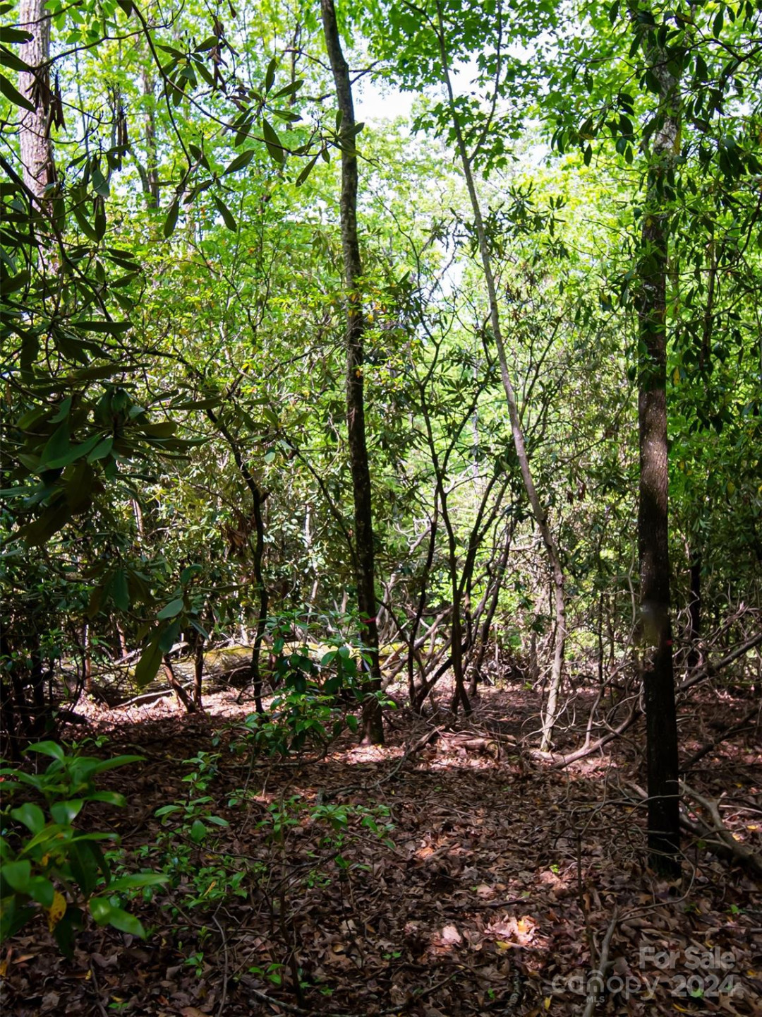 185 Crossvine Trail - Photo 10