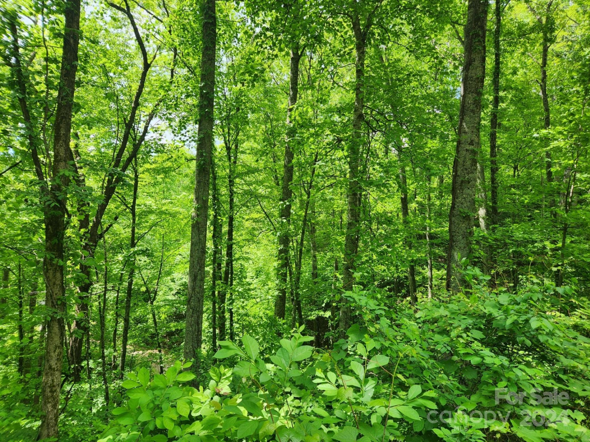 000 Chandra Lane #402 - Photo 3