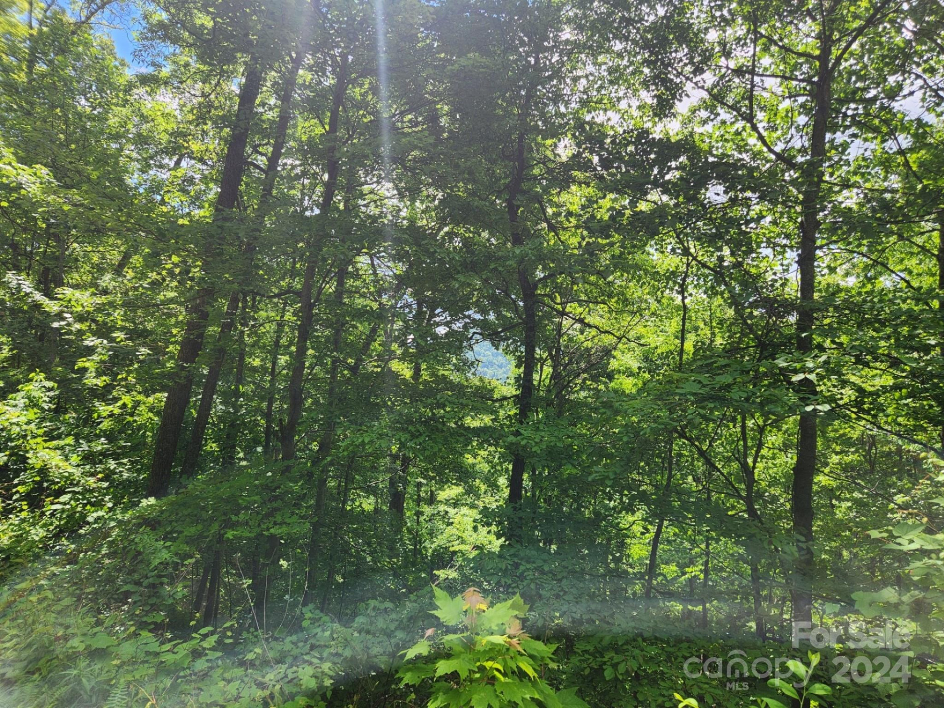 000 Chandra Lane #402 - Photo 4