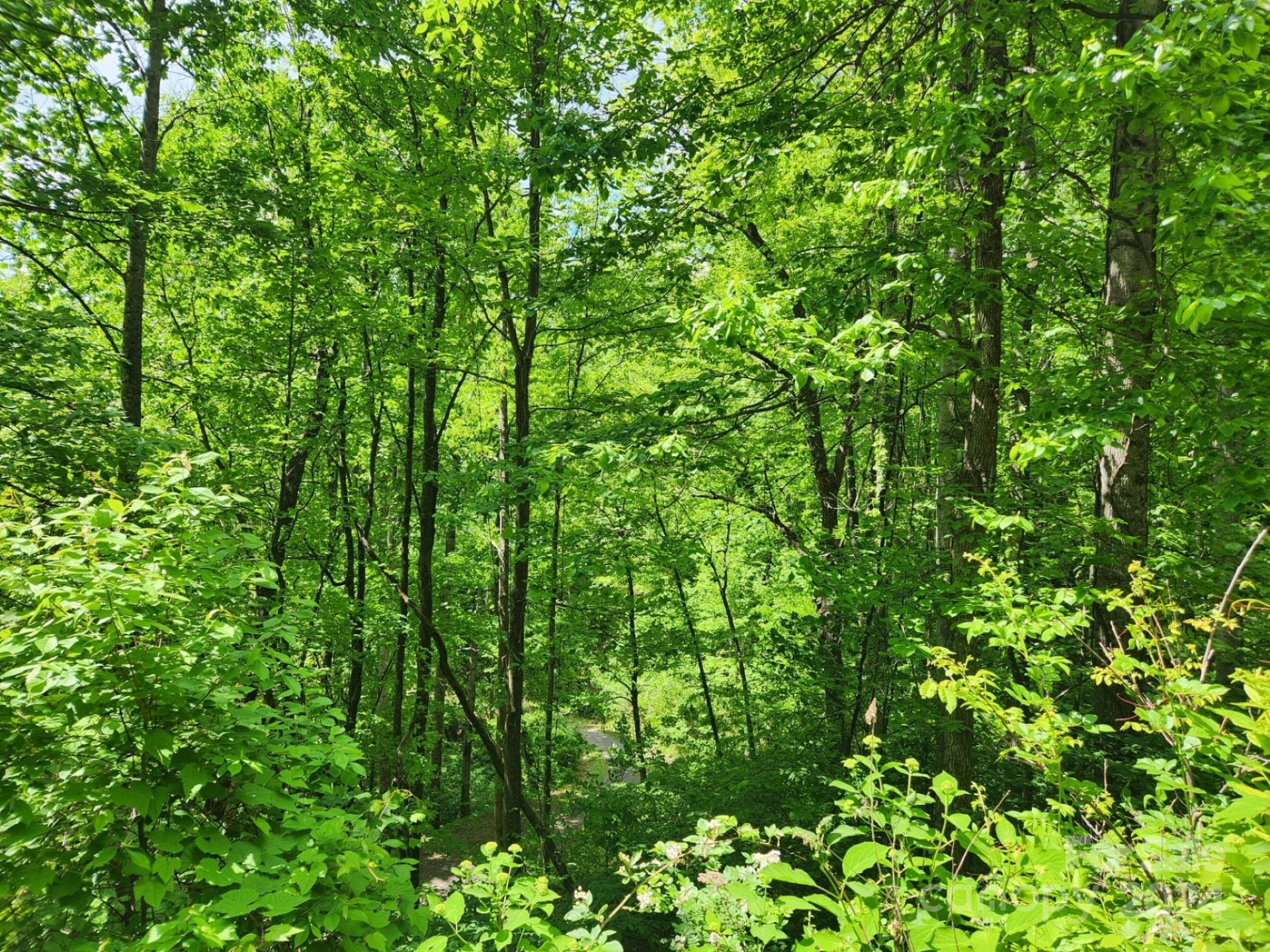 000 Chandra Lane #402 - Photo 5