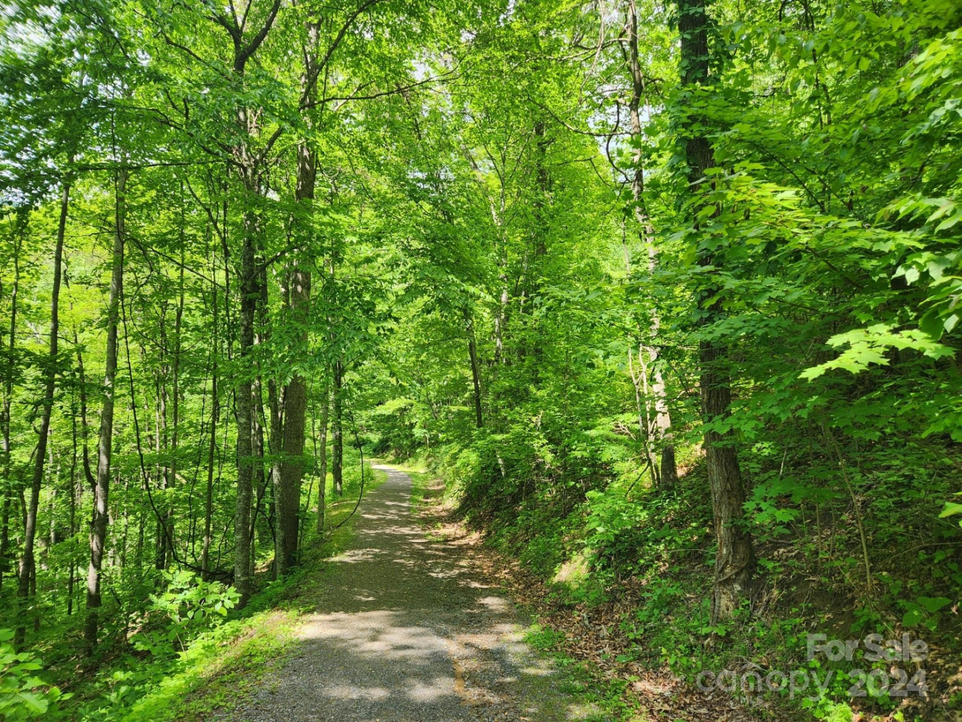 000 Chandra Lane #402 - Photo 6