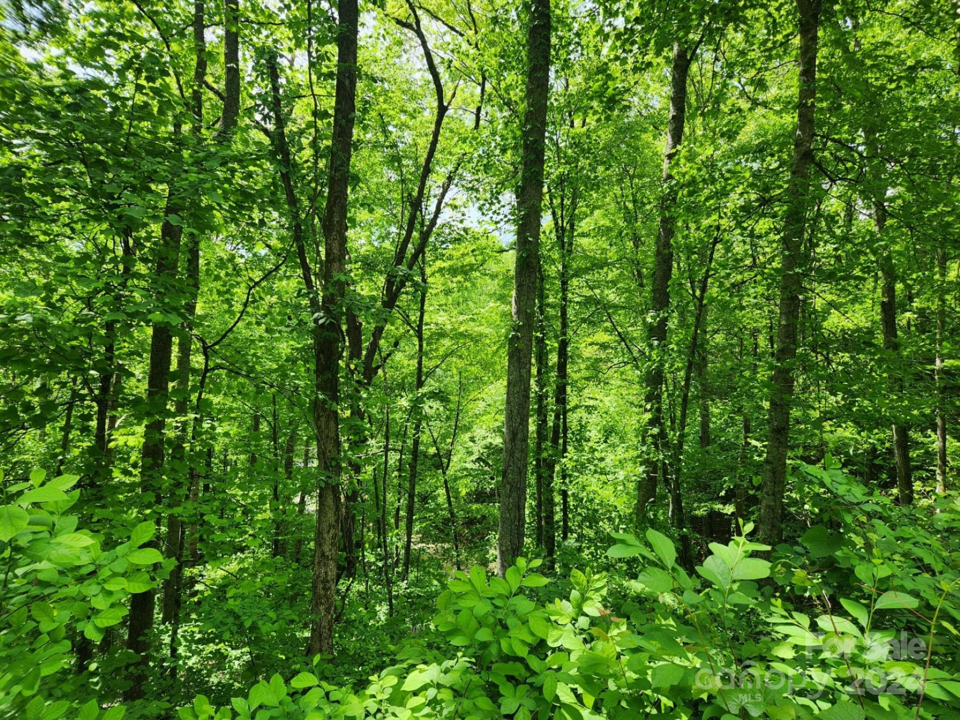 000 Chandra Lane #402 - Photo 7