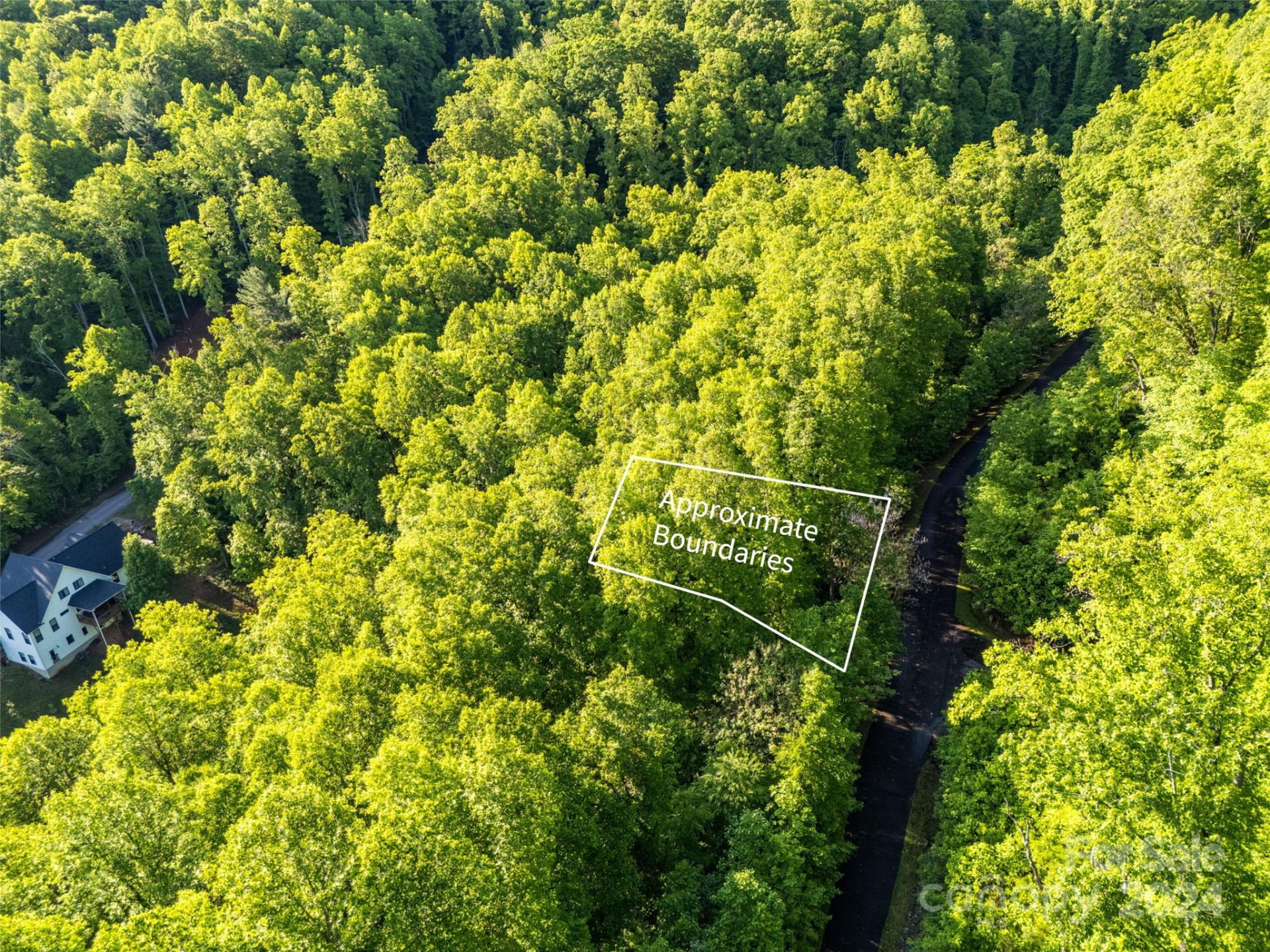 37 Ashewood Mountain Way - Photo 2