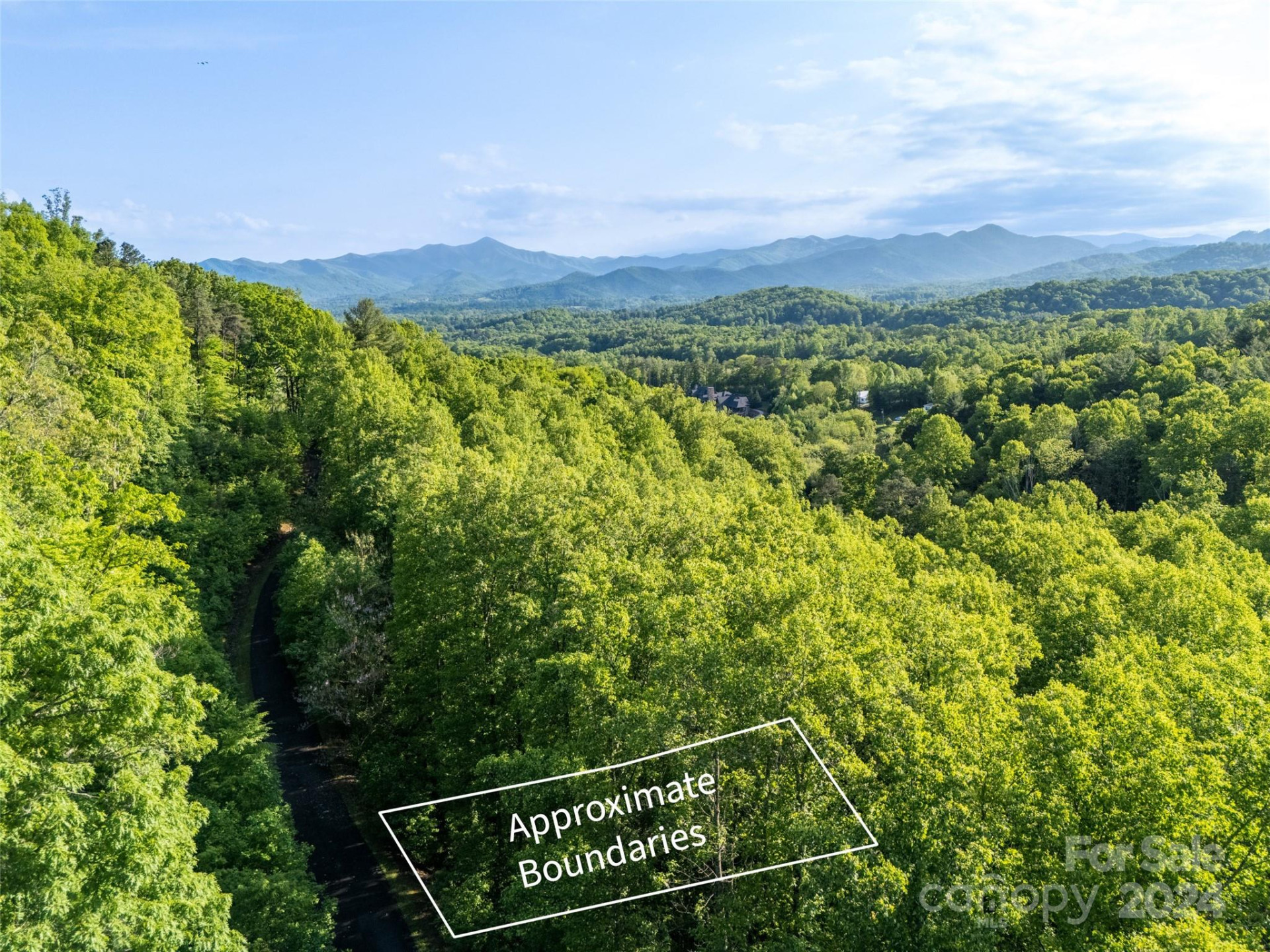 37 Ashewood Mountain Way - Photo 3