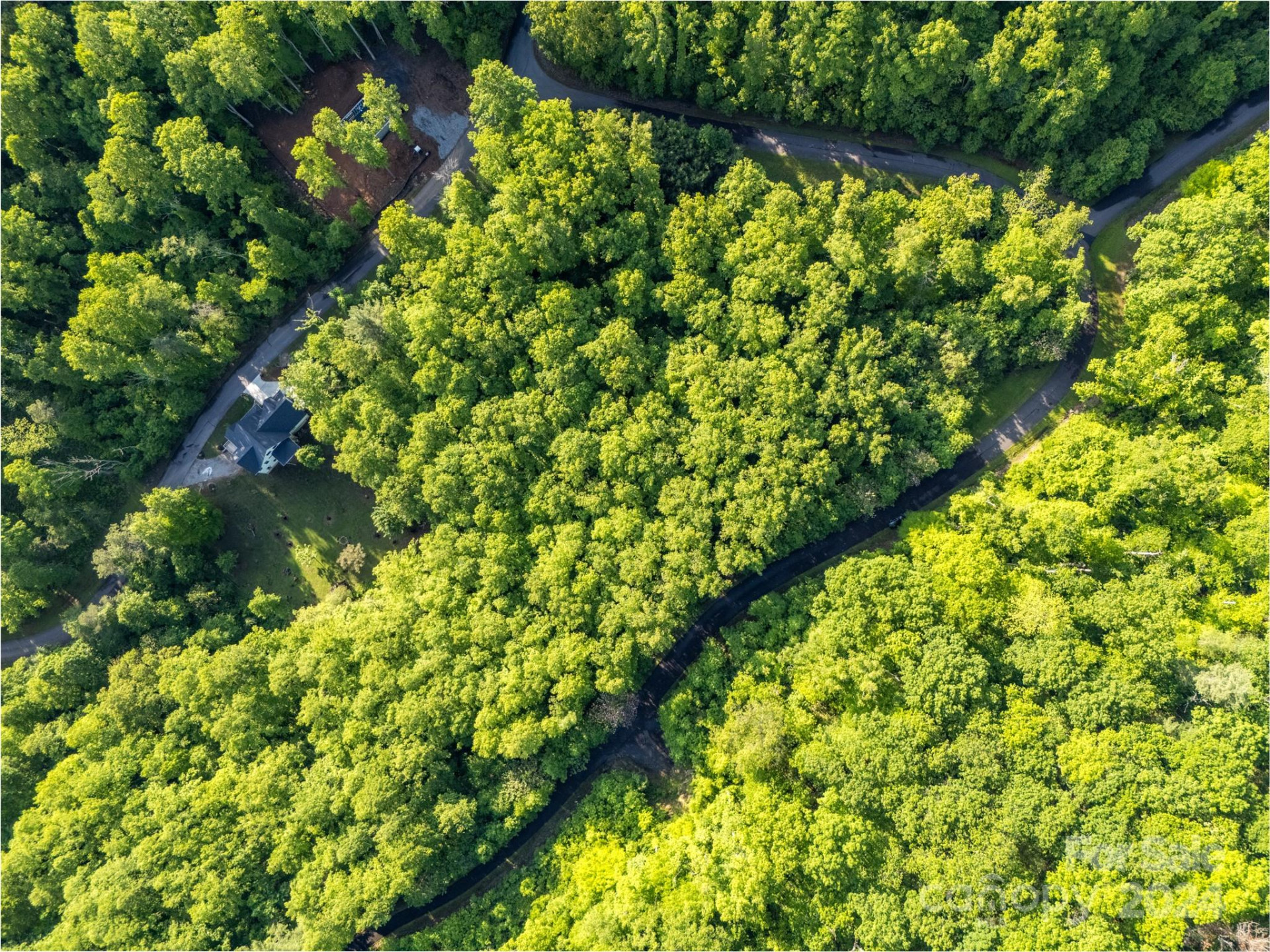 37 Ashewood Mountain Way - Photo 4