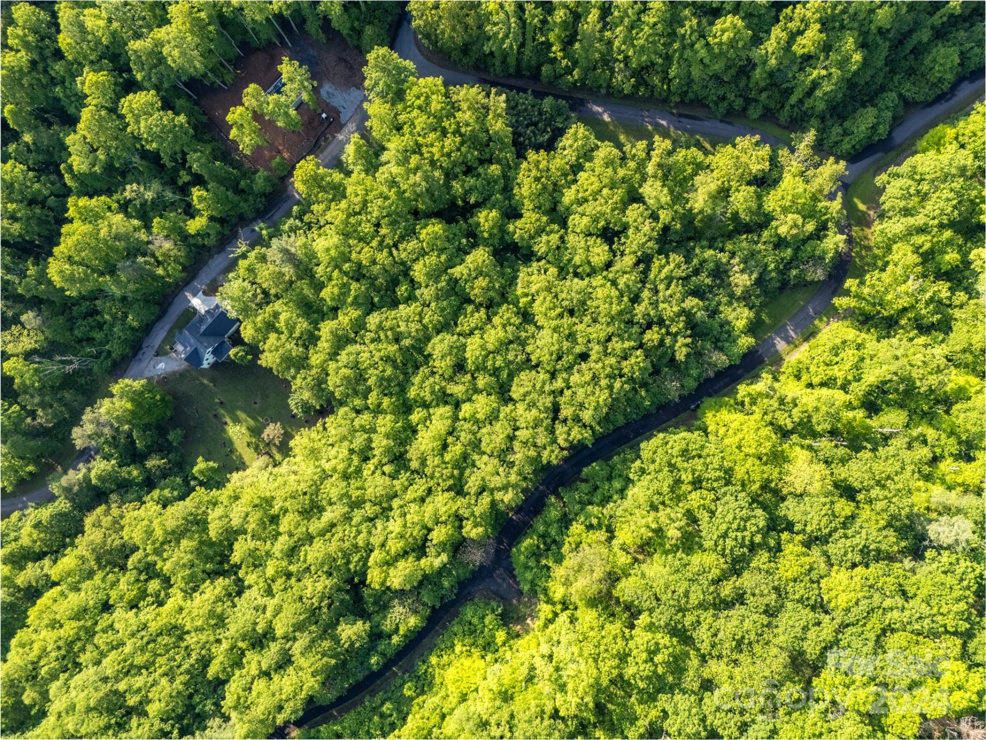37 Ashewood Mountain Way - Photo 4